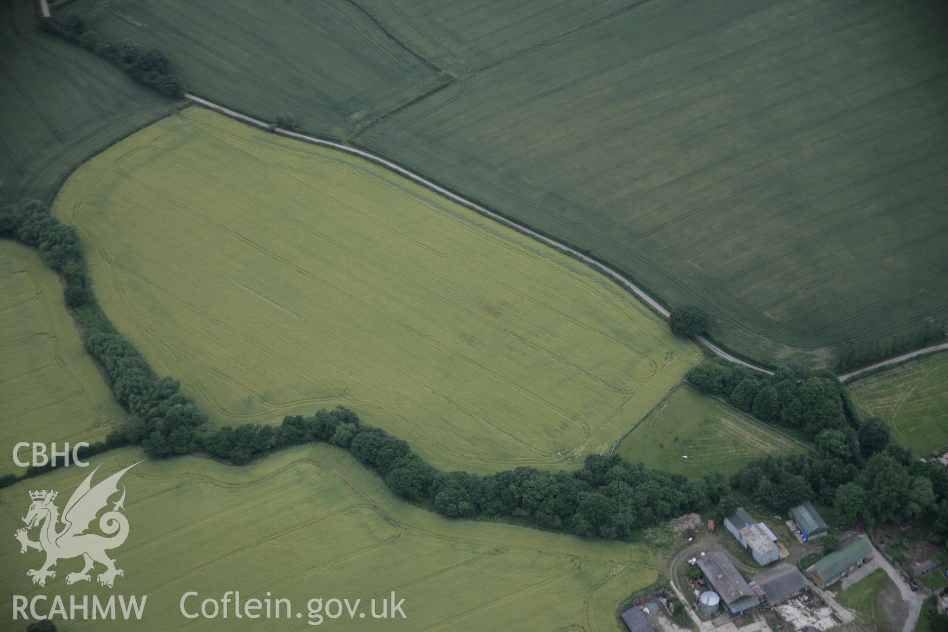 RCAHMW digital colour oblique photograph of the cropmark of a defended enclosure at Bacheldre viewed from the east. Taken on 07/07/2005 by T.G. Driver.