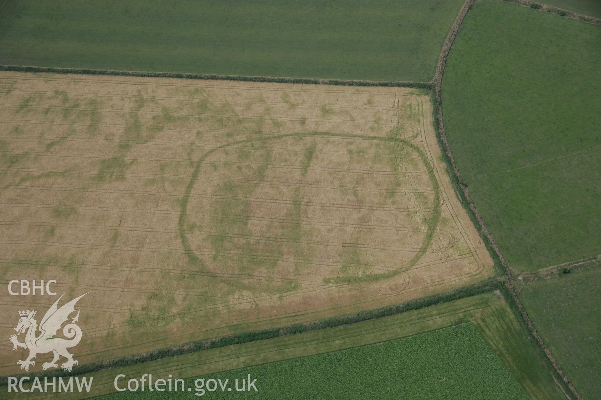 RCAHMW digital colour oblique photograph of the cropmark of a defended enclosure south-west of Nant Fflyman viewed from the east. Taken on 27/07/2005 by T.G. Driver.