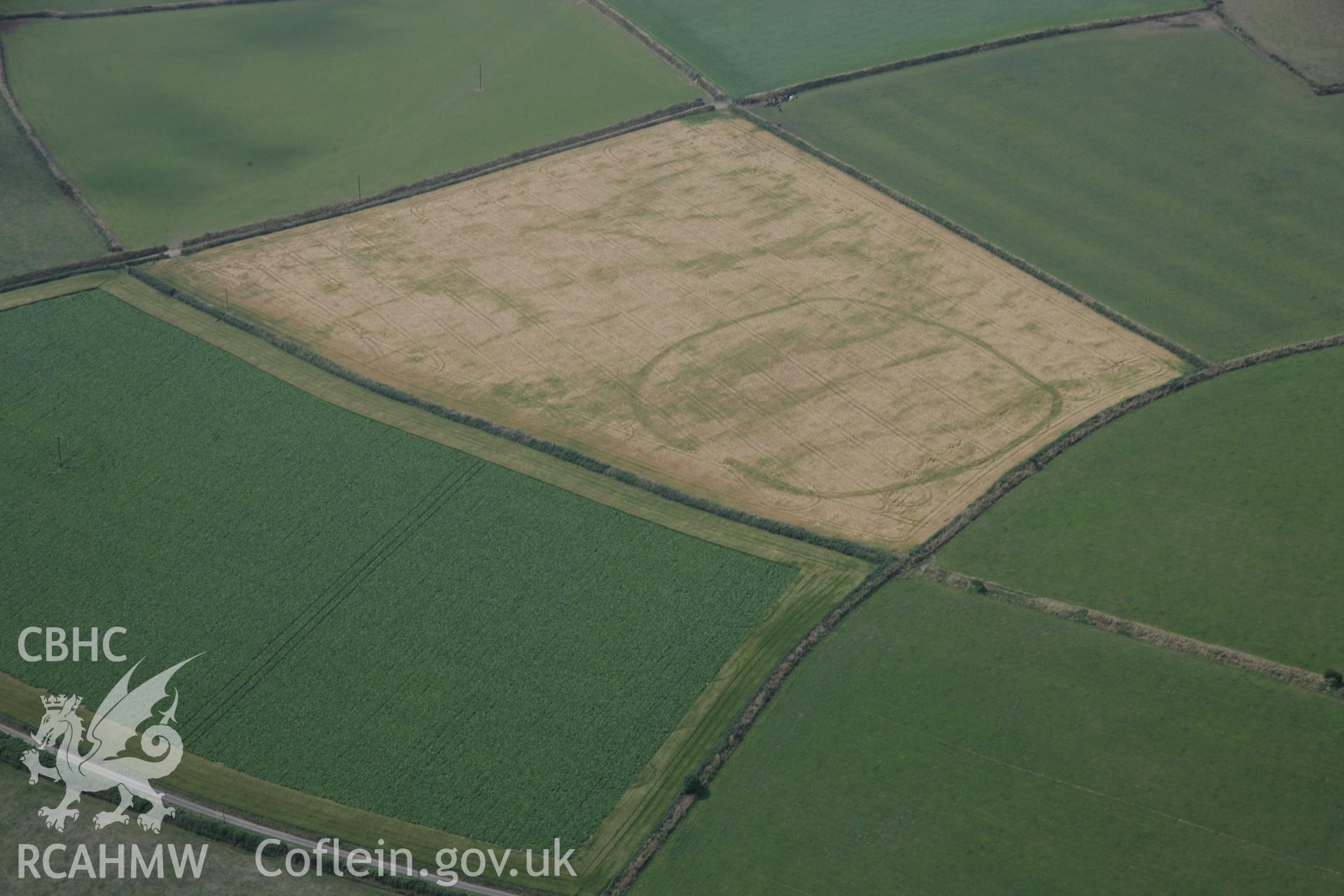 RCAHMW digital colour oblique photograph of the cropmark of a defended enclosure south-west of Nant Fflyman viewed from the north-east. Taken on 27/07/2005 by T.G. Driver.