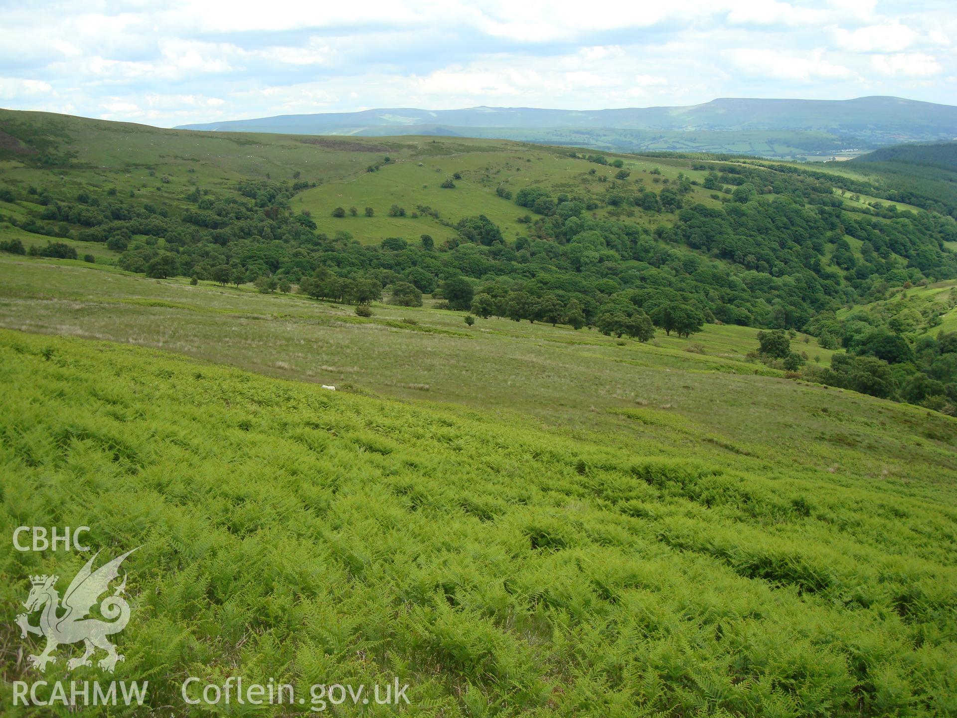 Digital colour photograph of Blaen Cwm Banw platform I taken on 16/06/2008 by R.P.Sambrook during the Brecon Beacons (east) Uplands Survey undertaken by Trysor.
