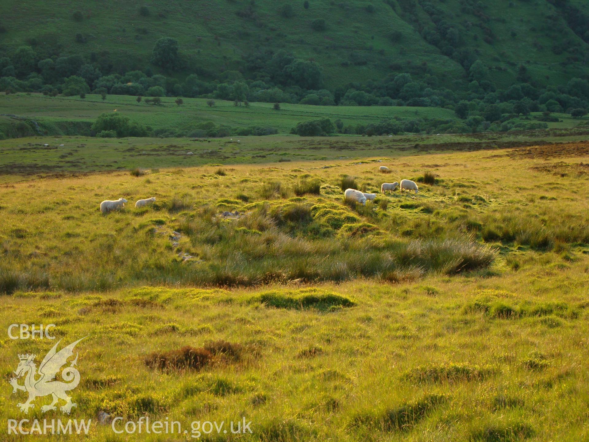 Digital colour photograph of Cwm Cwareli long hut III taken on 16/06/2008 by R.P.Sambrook during the Brecon Beacons (east) Uplands Survey undertaken by Trysor.