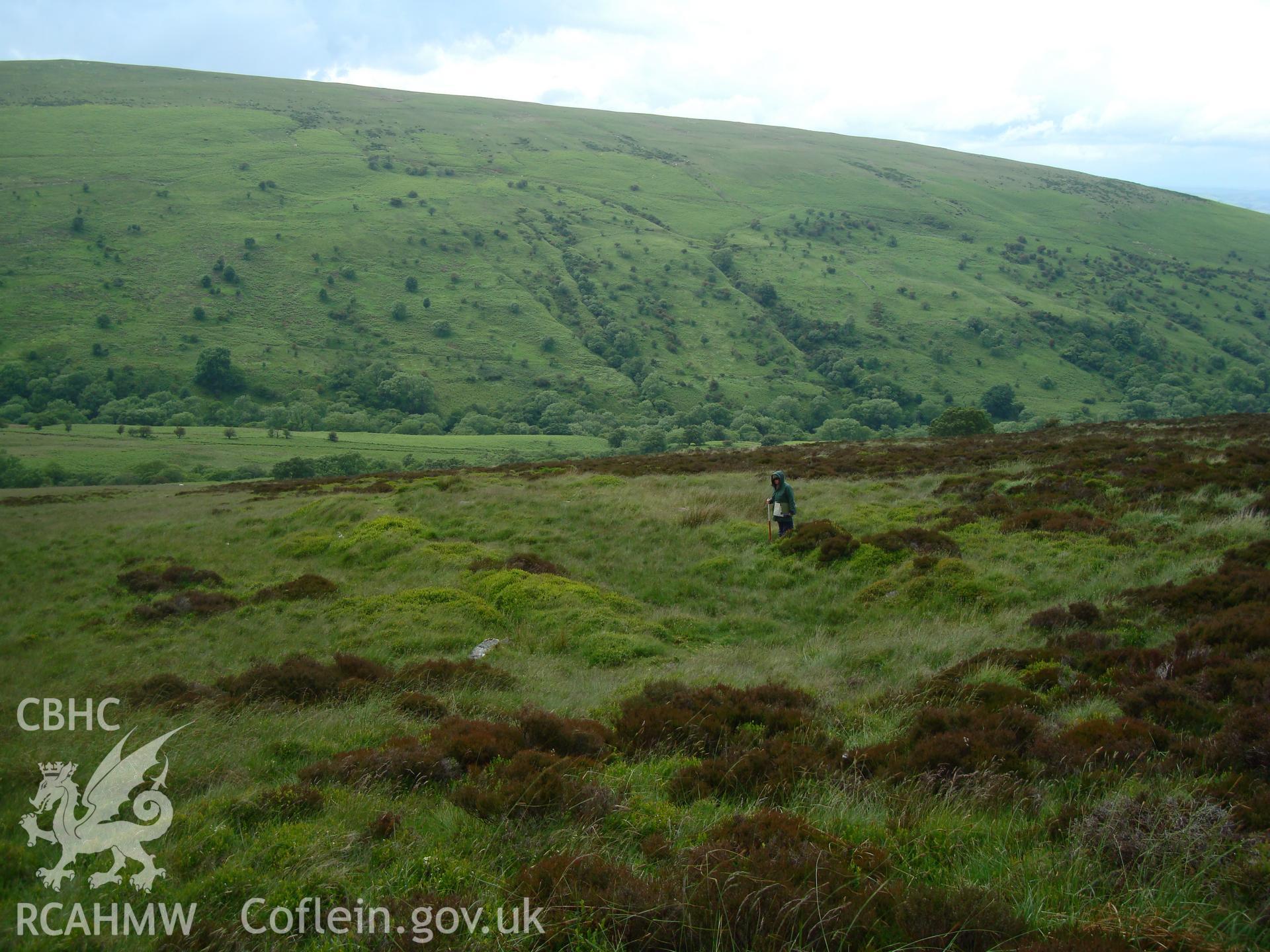 Digital colour photograph of Cwm Cwareli longhouse III taken on 17/06/2008 by R.P.Sambrook during the Brecon Beacons (east) Uplands Survey undertaken by Trysor.
