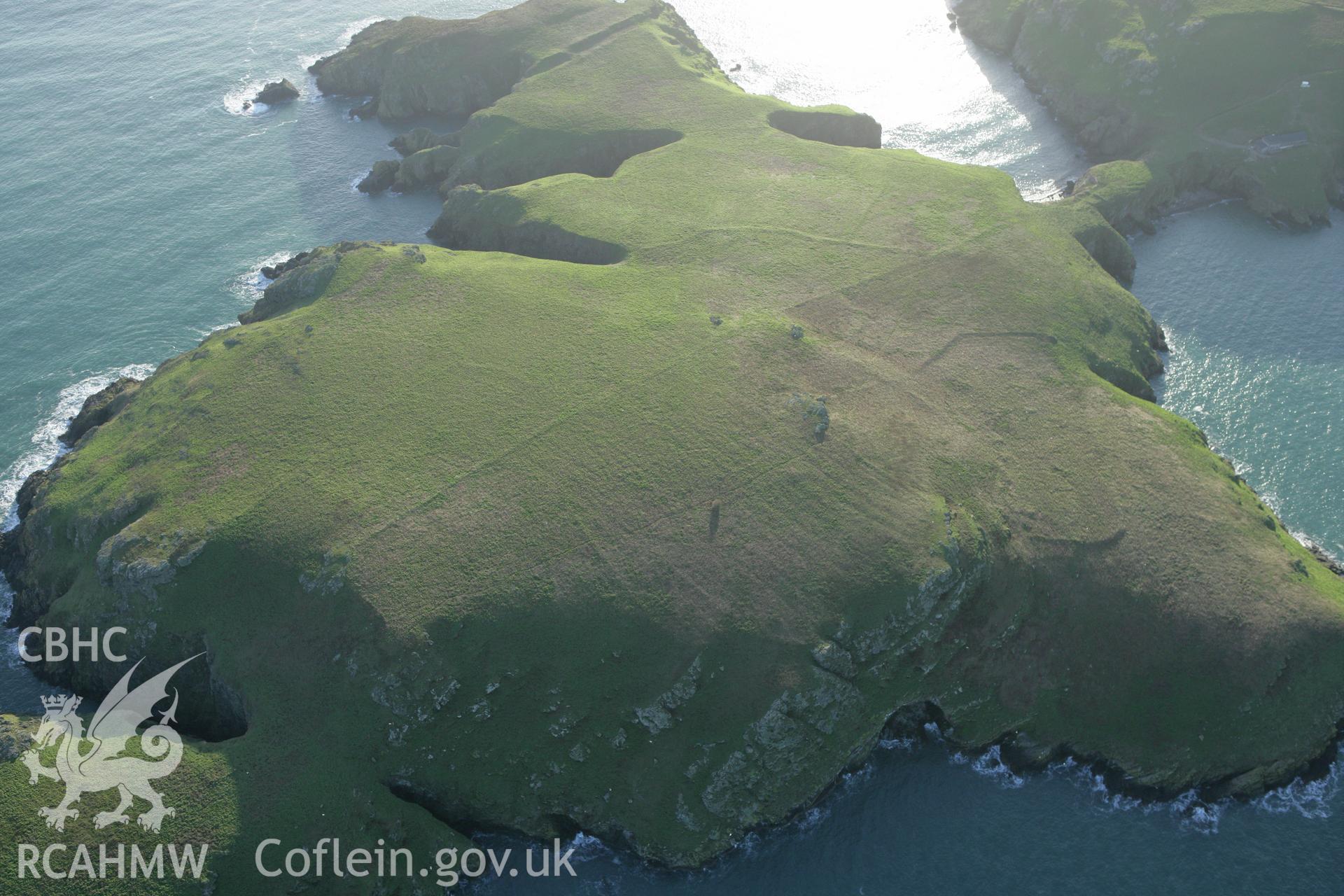 RCAHMW colour oblique photograph of The Neck field systems, and South Castle Promontory fort, Skomer. Taken by Toby Driver on 04/03/2008.