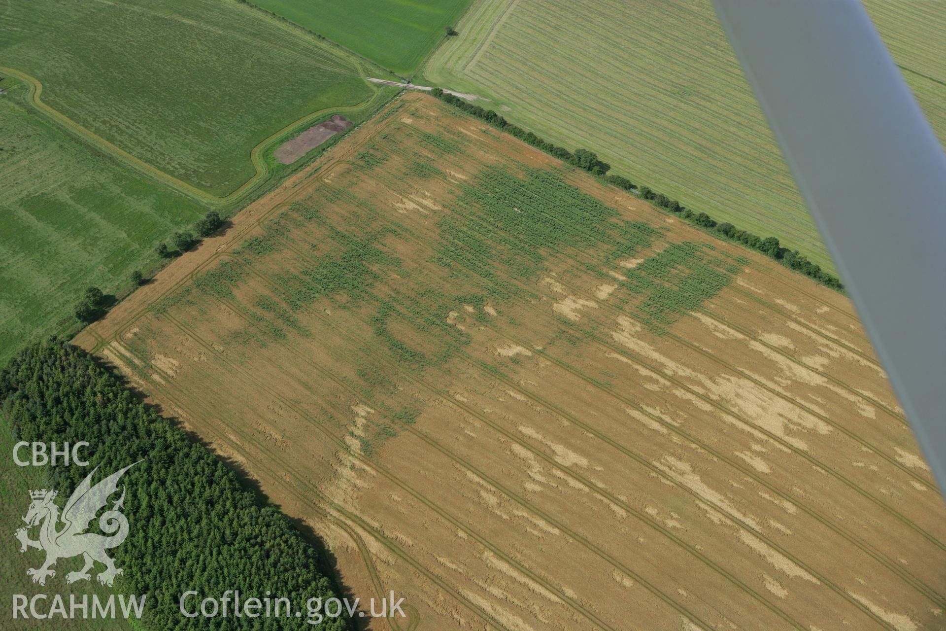 RCAHMW colour oblique photograph of cropmarks of a possible defended enclosure, south of Jacob's Cottage. Taken by Toby Driver on 21/07/2008.