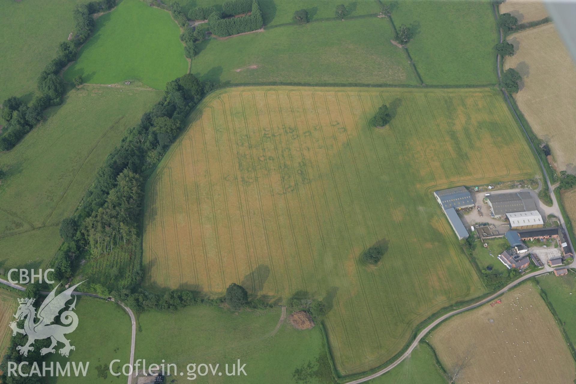 RCAHMW colour oblique photograph of cropmarks north of Glan Clwyd farm. Taken by Toby Driver on 24/07/2008.