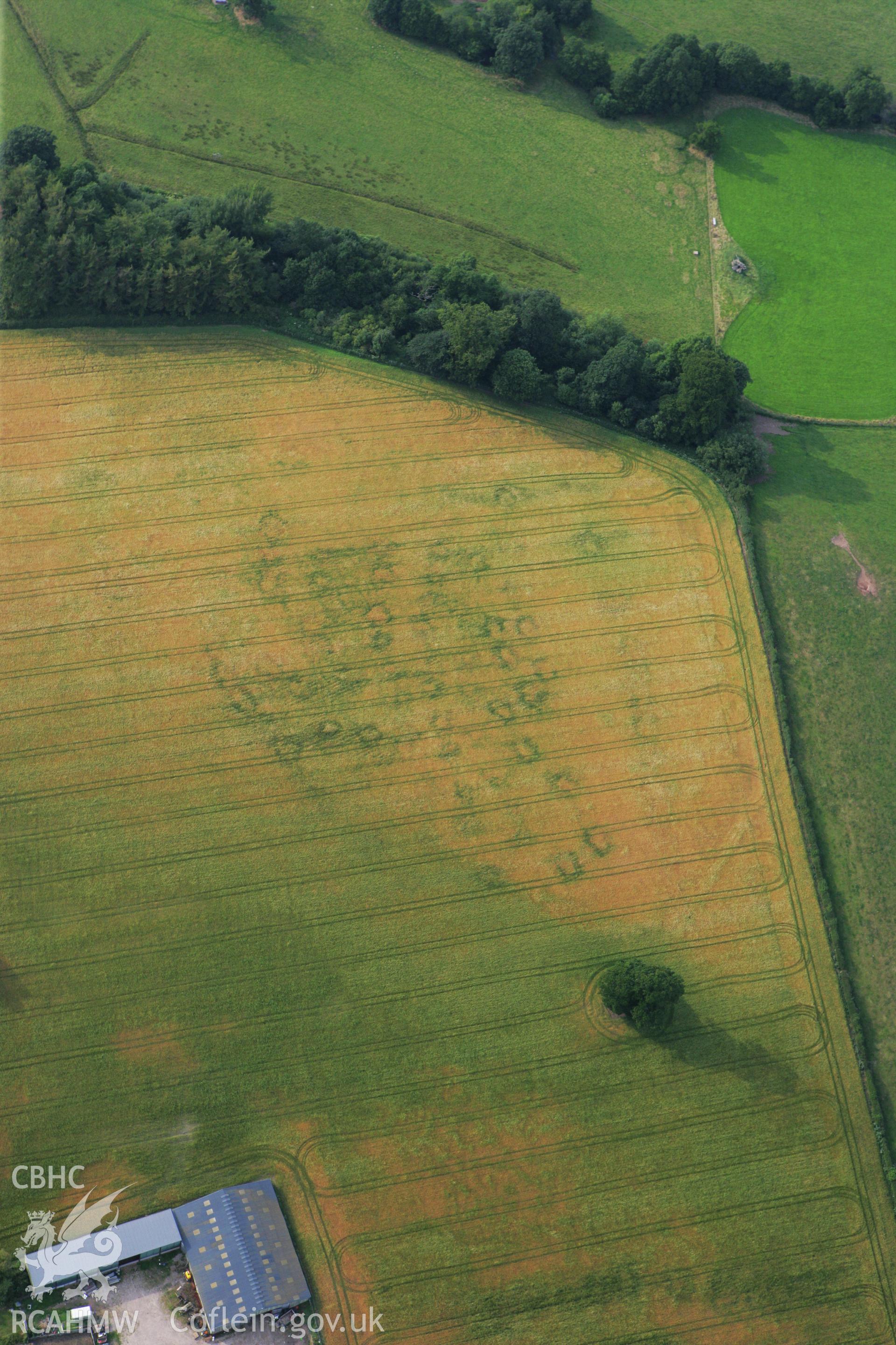 RCAHMW colour oblique photograph of cropmarks north of Glan Clwyd farm. Taken by Toby Driver on 24/07/2008.