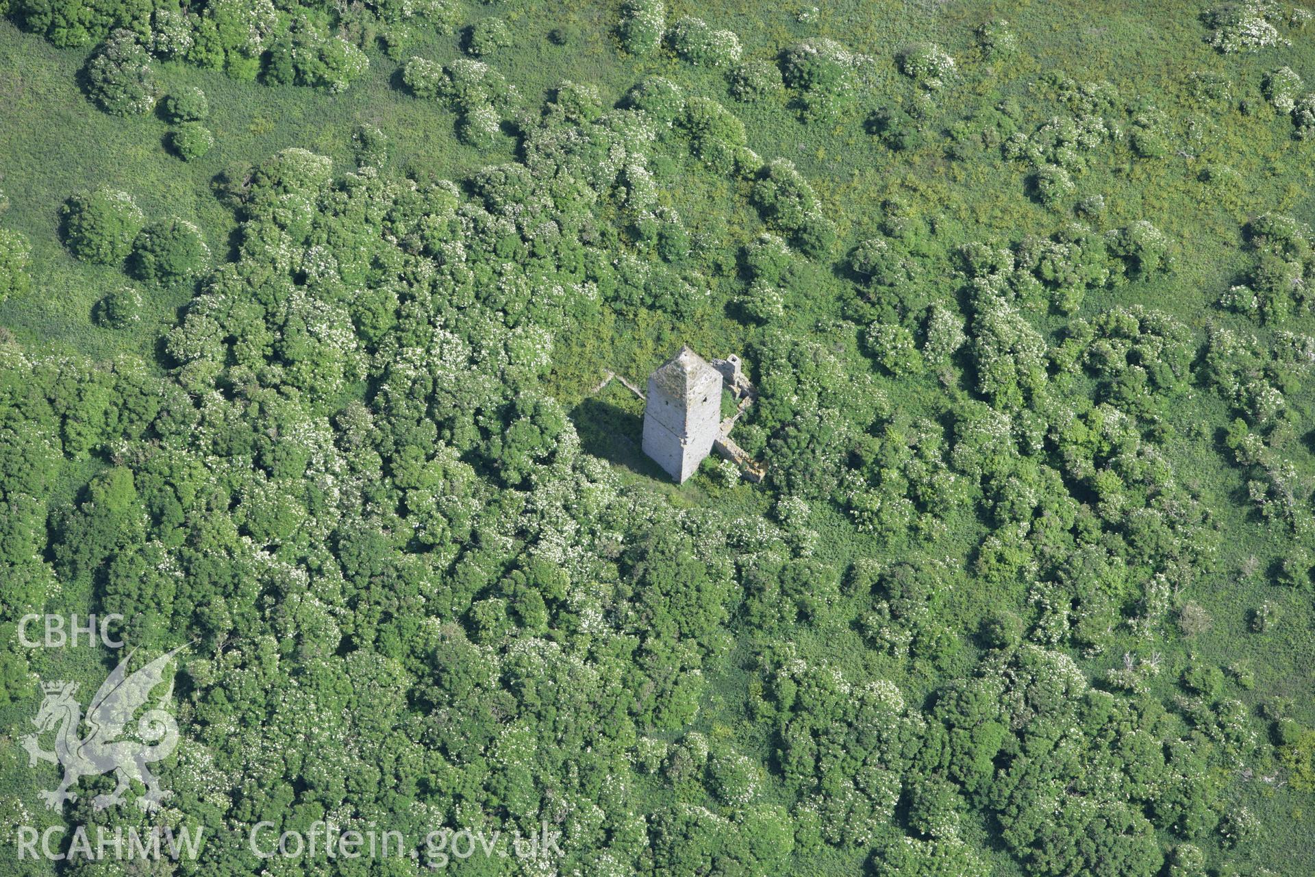 RCAHMW colour oblique photograph of Cell of Penmon Priory, Priestholm Island (Puffin Island/Ynys Seiriol). Taken by Toby Driver on 13/06/2008.