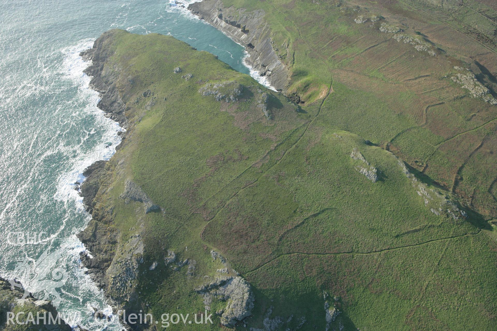 RCAHMW colour oblique photograph of Skomer Island, The Wick co-axial field systems, view from south-east. Taken by Toby Driver on 04/03/2008.