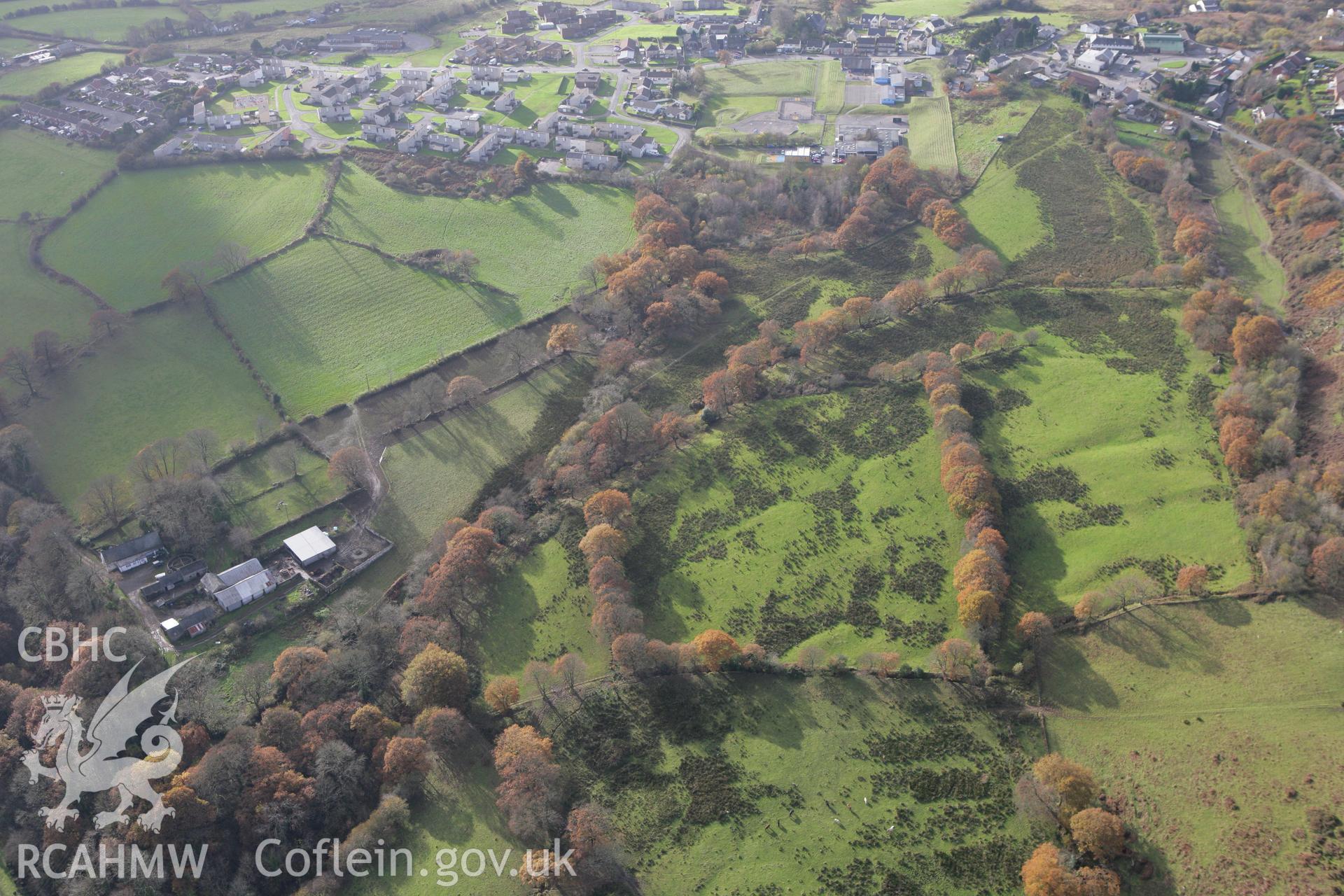 RCAHMW colour oblique photograph of Plas-y-Bettws, relict garden. Taken by Toby Driver on 12/11/2008.