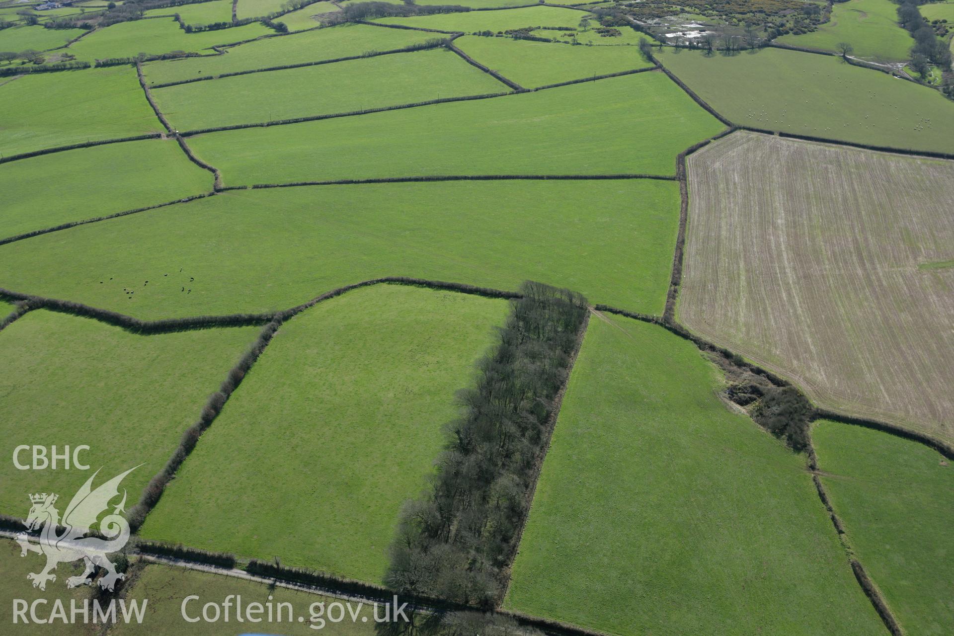 RCAHMW colour oblique photograph of Cae Gaer Enclosure, Allt Cunedda Farm. Taken by Toby Driver on 04/03/2008.