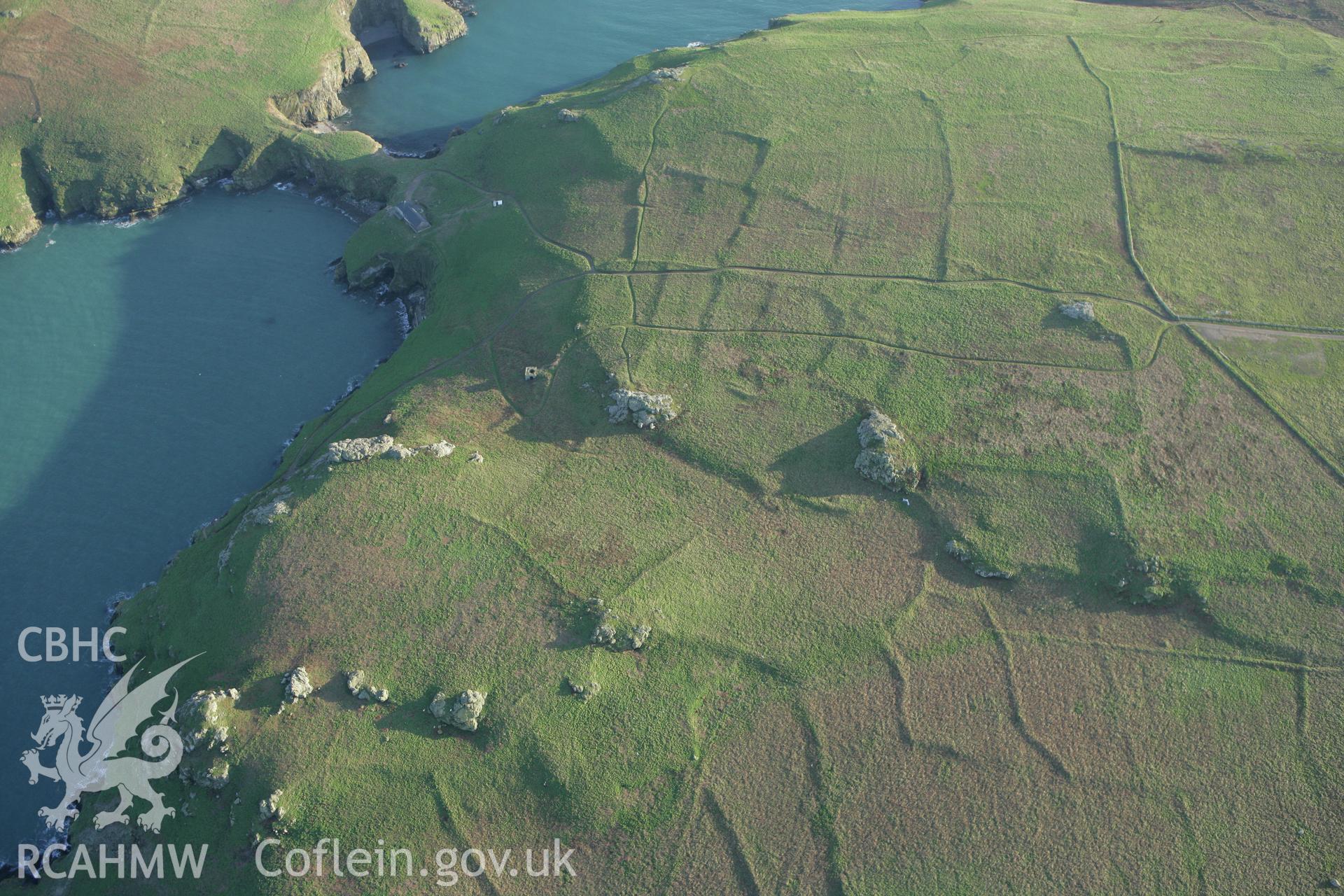RCAHMW colour oblique photograph of Settlements and field systems, Skomer Island, northern-eastern fields. Taken by Toby Driver on 04/03/2008.