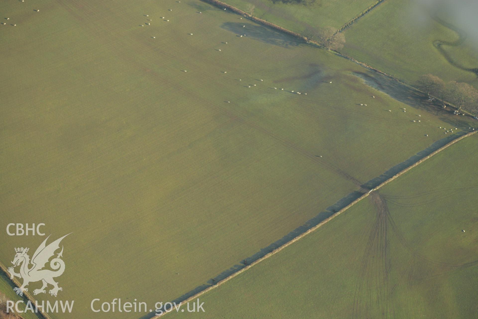 RCAHMW colour oblique aerial photograph showing cropmarks on the site of Llwydfaen Church. Taken on 25 January 2007 by Toby Driver
