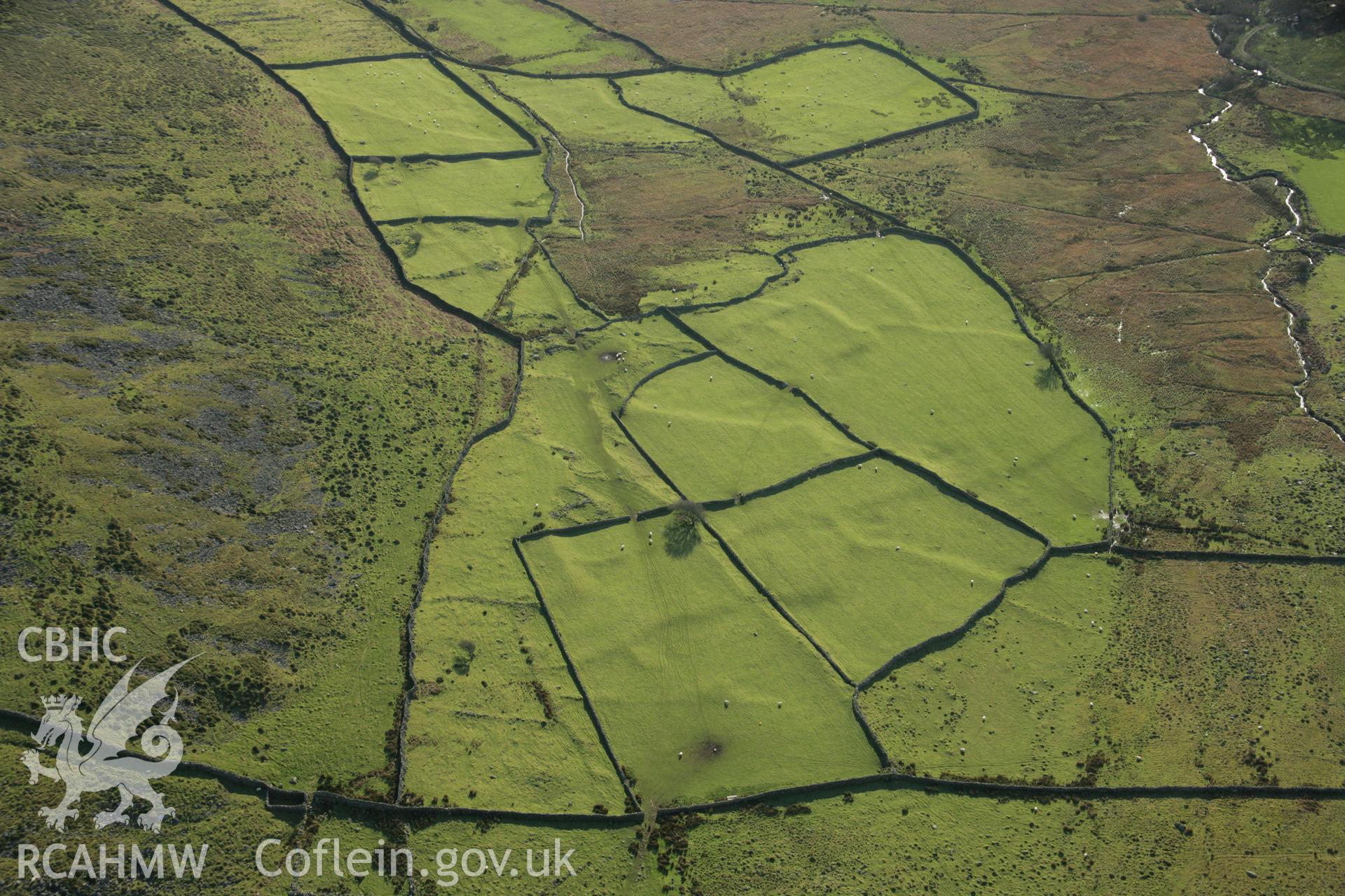 RCAHMW colour oblique aerial photograph of a relict field system at Tyddyn-Mawr. Taken on 25 January 2007 by Toby Driver