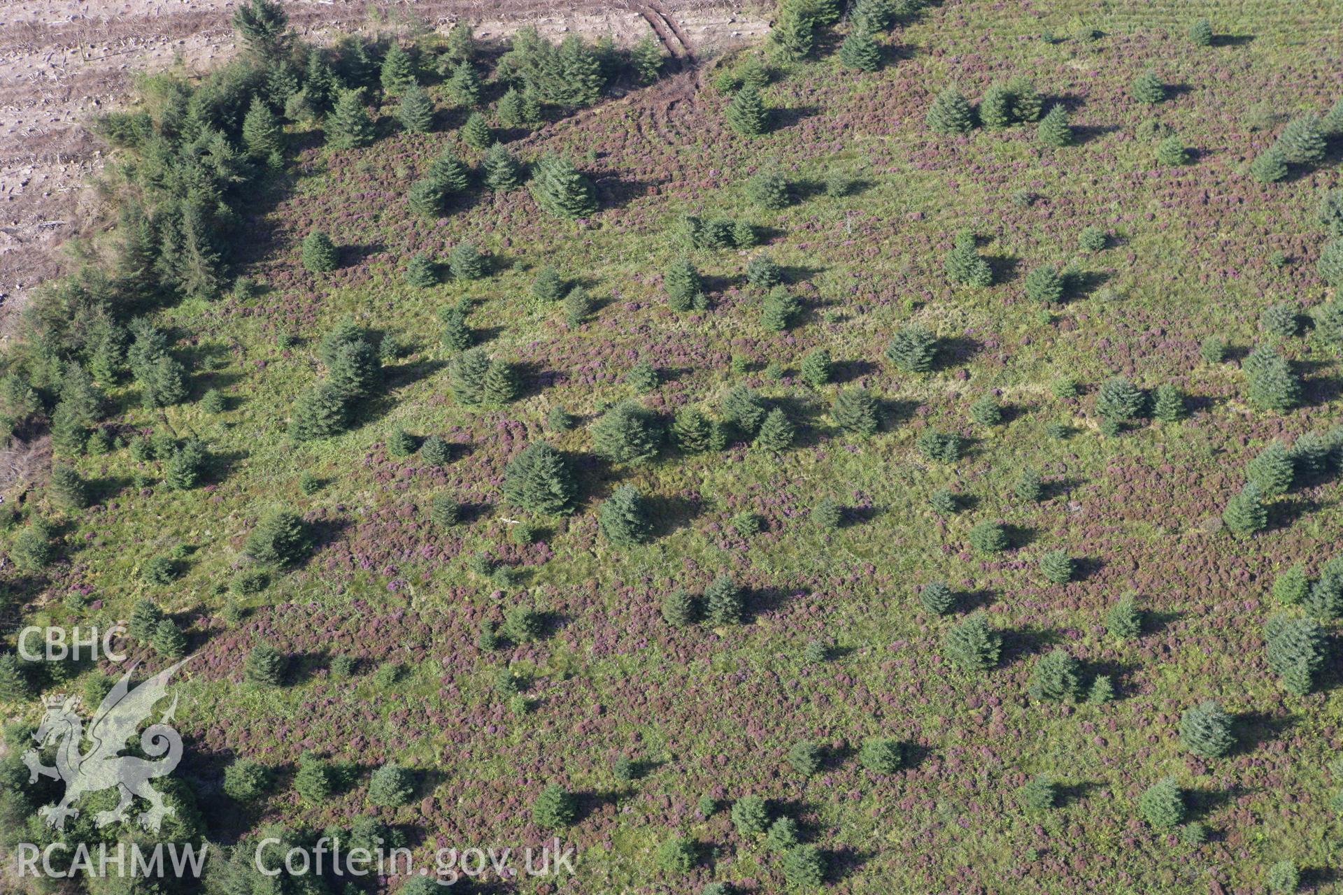 RCAHMW colour oblique photograph of Cnwc, Mound II. Taken by Toby Driver on 11/09/2007.