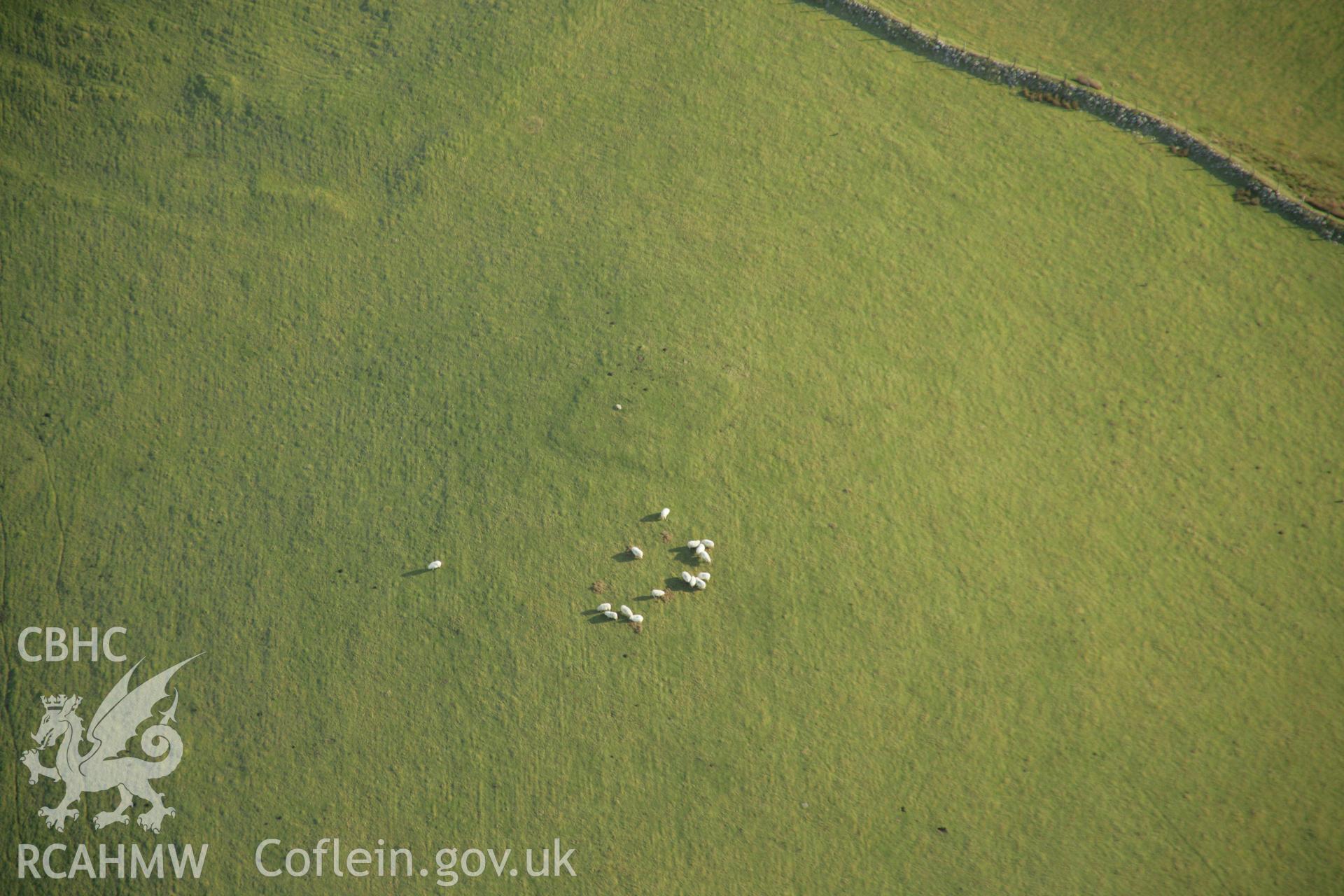 RCAHMW colour oblique aerial photograph of an enclosure northwest of Tomen-y-Mur. Taken on 25 January 2007 by Toby Driver