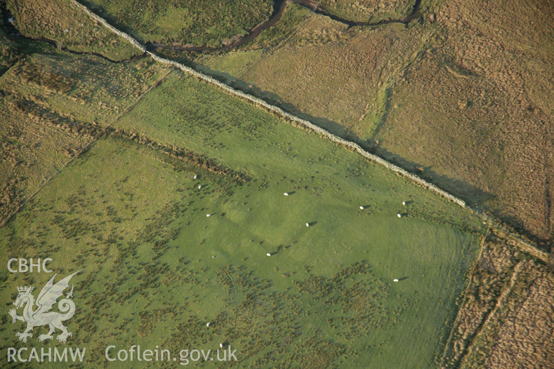 RCAHMW colour oblique aerial photograph of the deserted rural settlement at Dolbelydr South. Taken on 25 January 2007 by Toby Driver