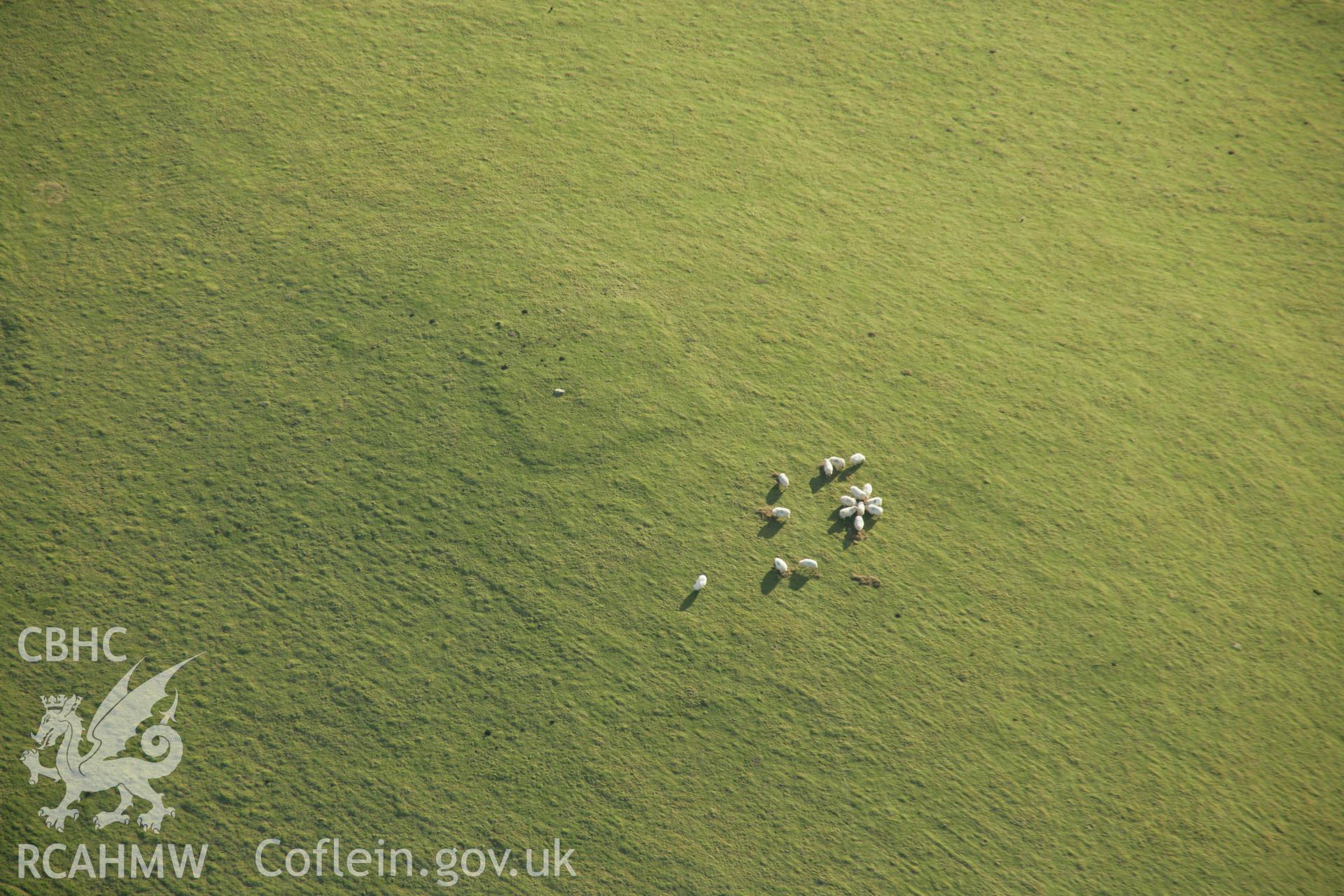 RCAHMW colour oblique aerial photograph of an enclosure northwest of Tomen-y-Mur. Taken on 25 January 2007 by Toby Driver
