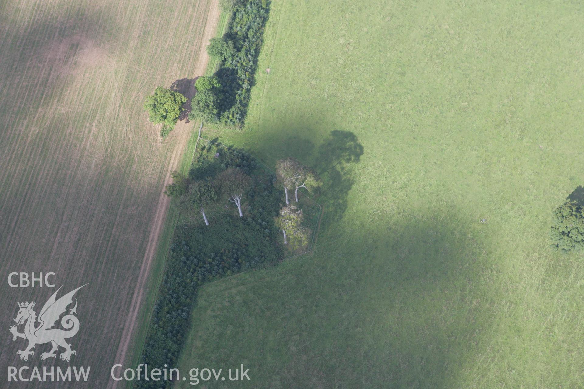 RCAHMW colour oblique photograph of Clynfiew, country house garden, stand of trees near. Taken by Toby Driver on 11/09/2007.