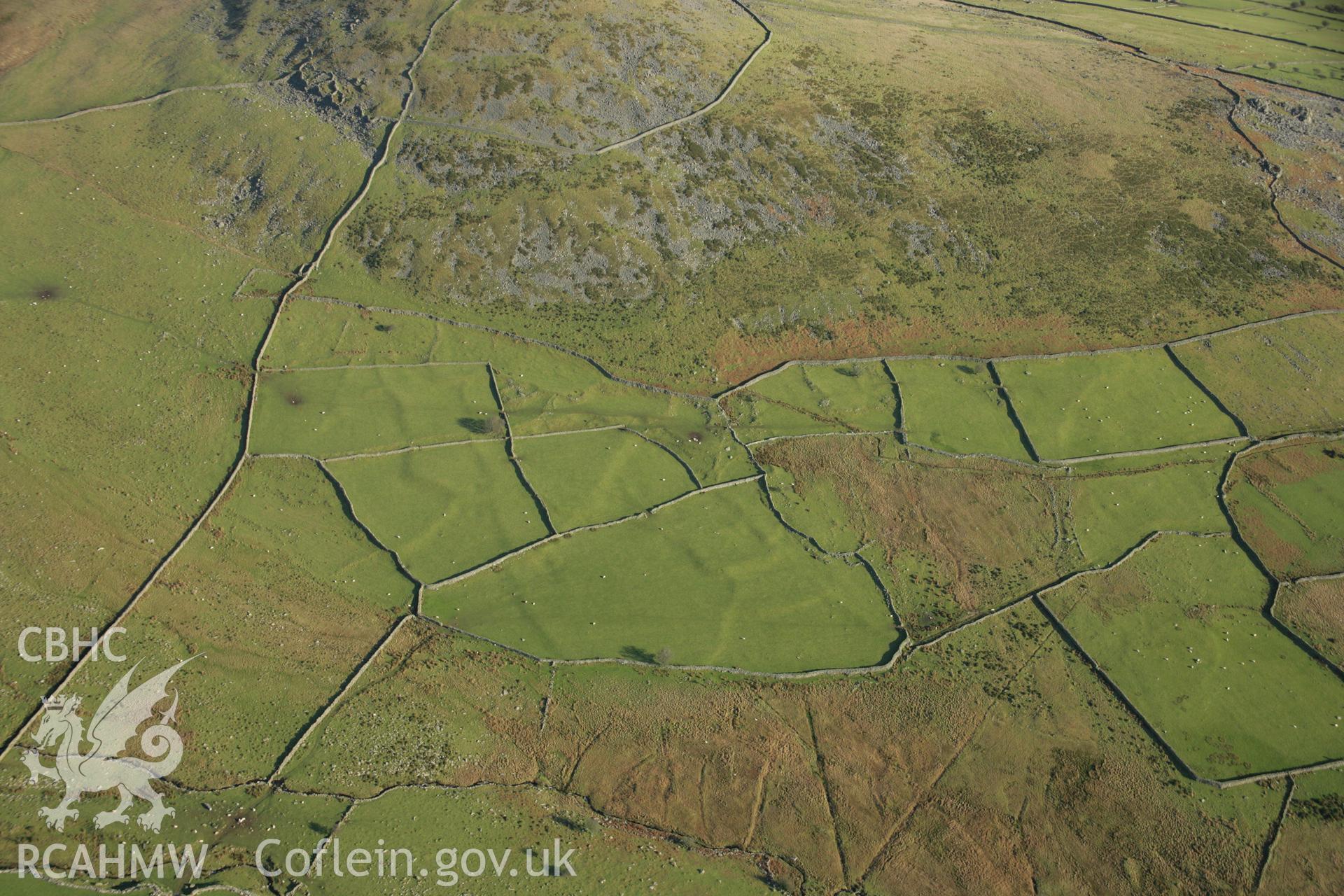 RCAHMW colour oblique aerial photograph of a relict field system at Tyddyn-Mawr. Taken on 25 January 2007 by Toby Driver