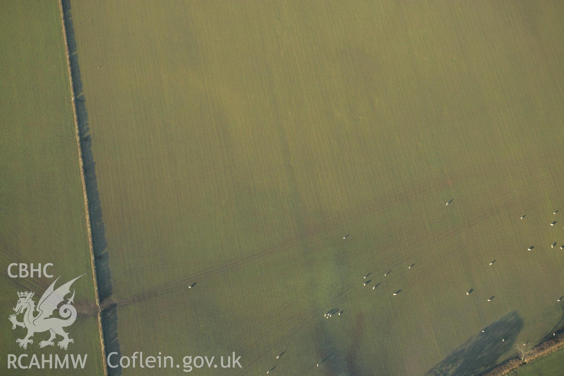 RCAHMW colour oblique aerial photograph showing cropmarks on the site of Llwydfaen Church. Taken on 25 January 2007 by Toby Driver
