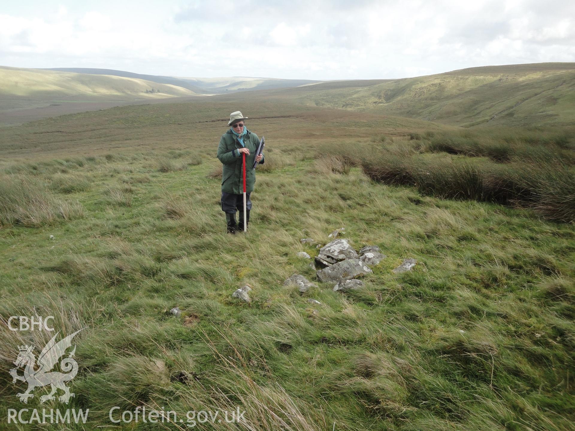 Cairn, looking southeast