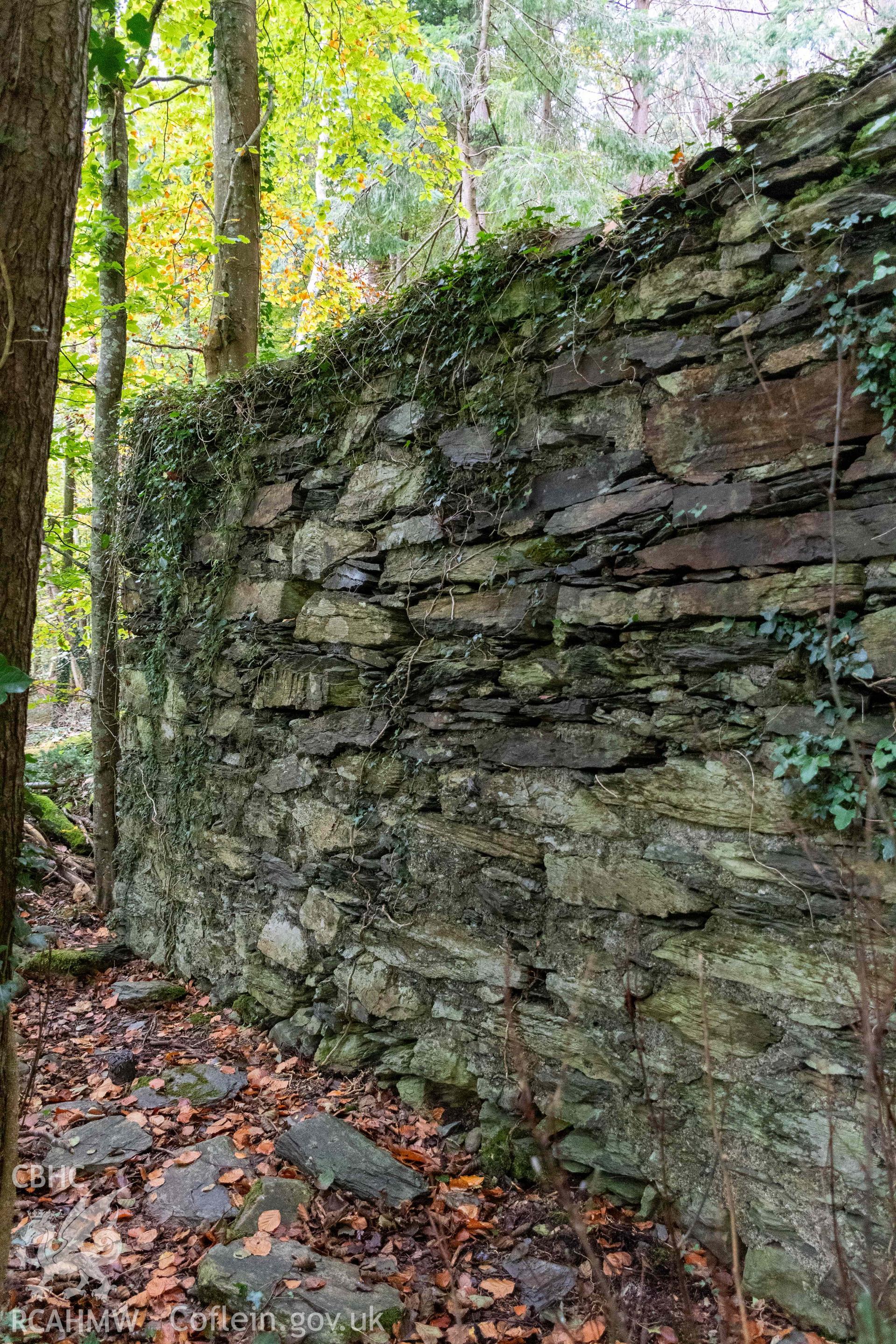 Lime Kiln, Abergwynant Woods. South face from the southeast.