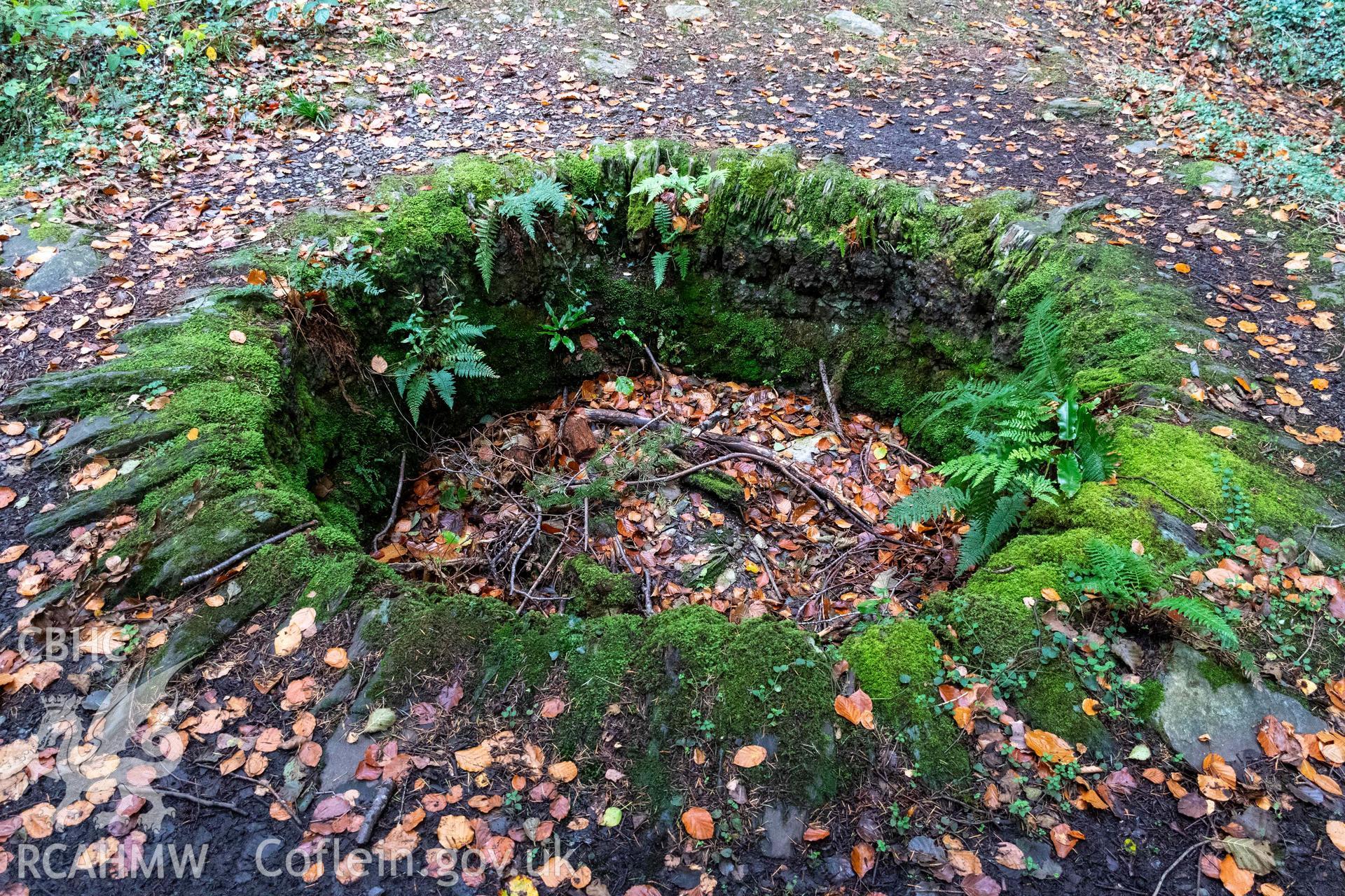 Lime Kiln, Abergwynant Woods. Crucible from the south.