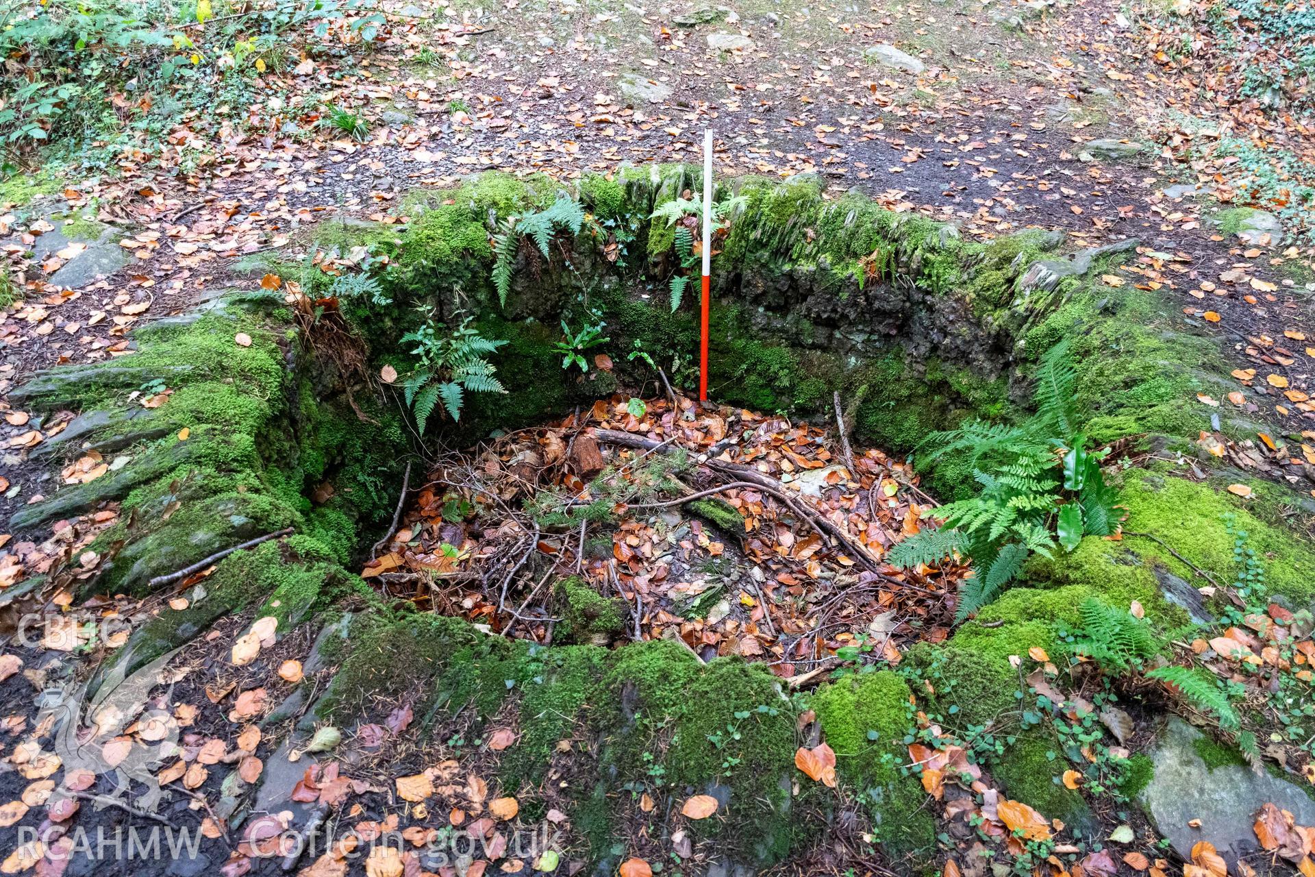 Lime Kiln, Abergwynant Woods. Crucible from the south (with scale).