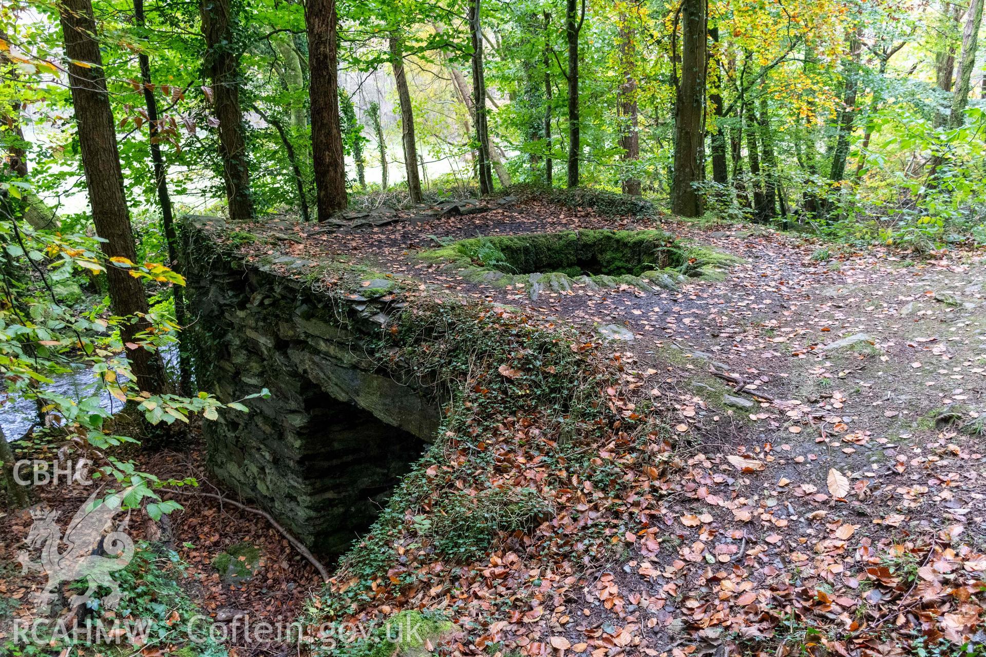 Lime Kiln, Abergwynant Woods. Top of kiln and east face from the northeast.