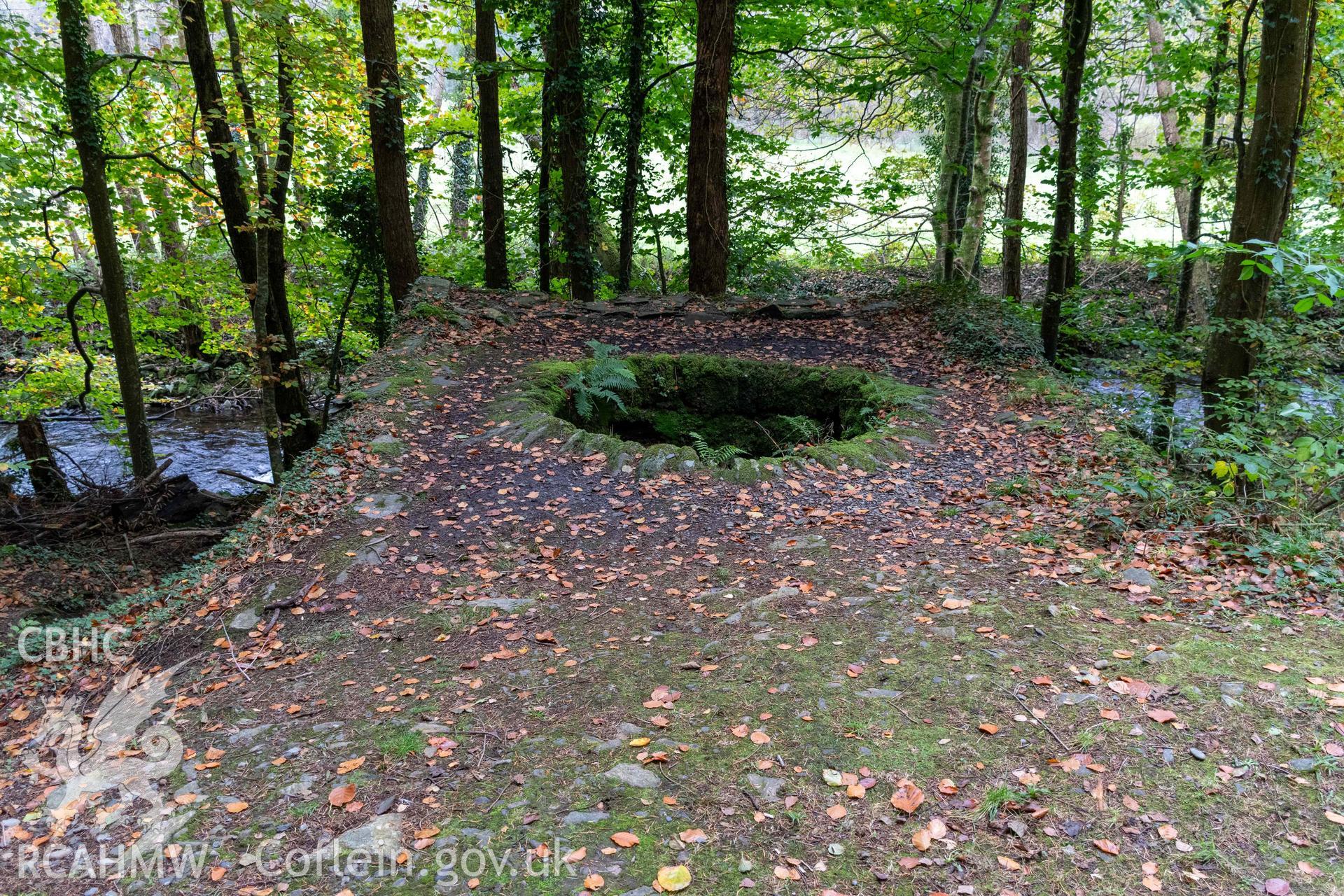 Lime Kiln, Abergwynant Woods. Top of kiln and crucible from the north.