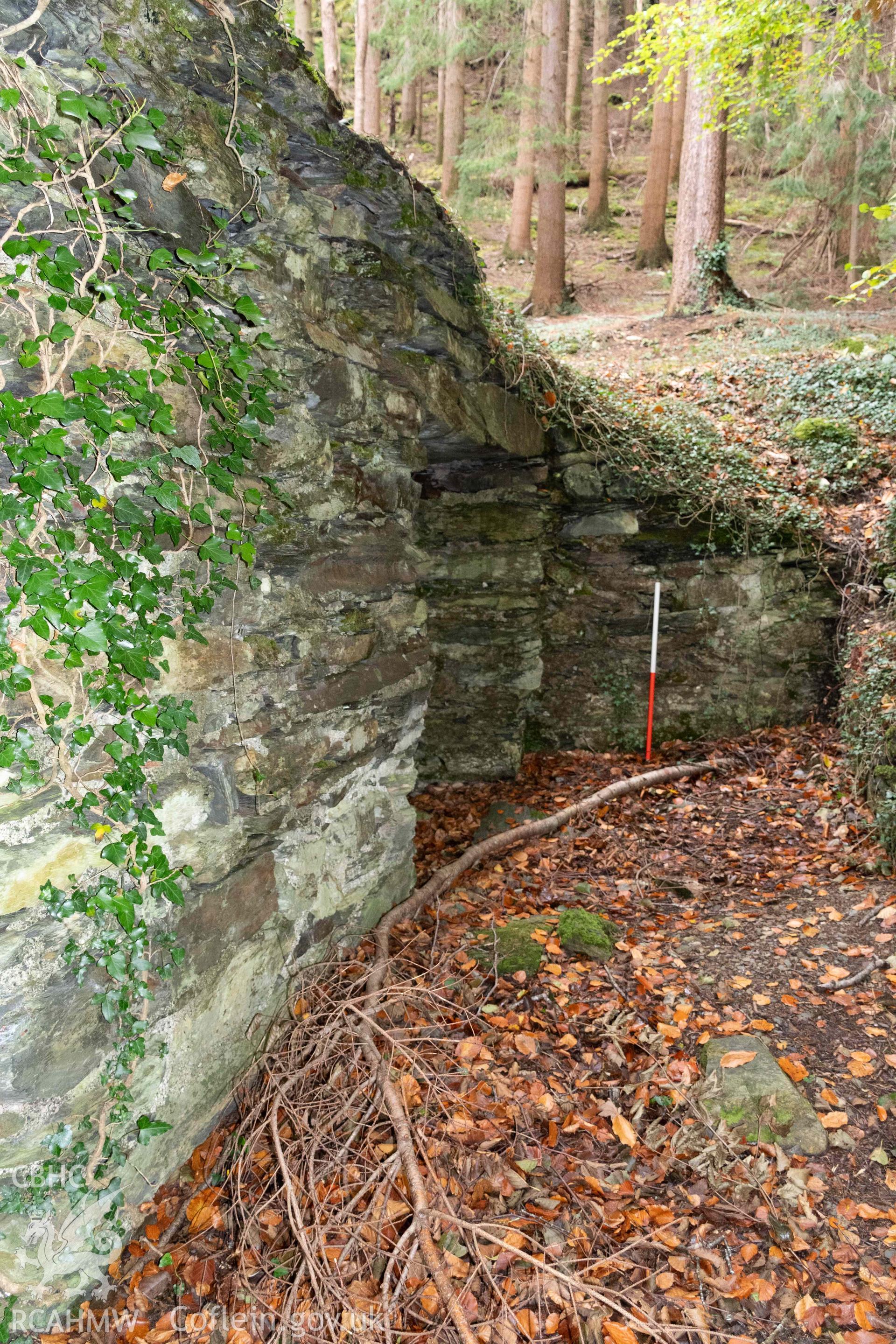 Lime Kiln, Abergwynant Woods. Lean-to structure adjacent to the east face of the kiln from the south (with scale).