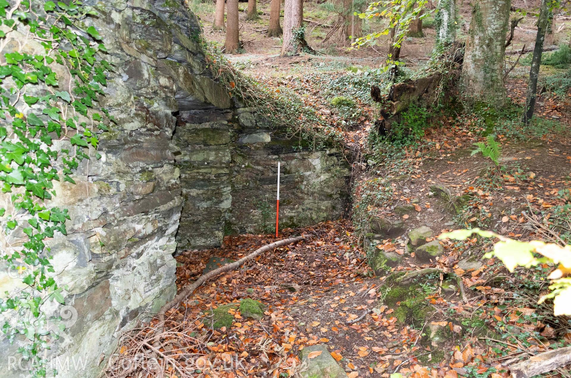 Lime Kiln, Abergwynant Woods. Lean-to structure adjacent to the east face of the kiln from the south (with scale).