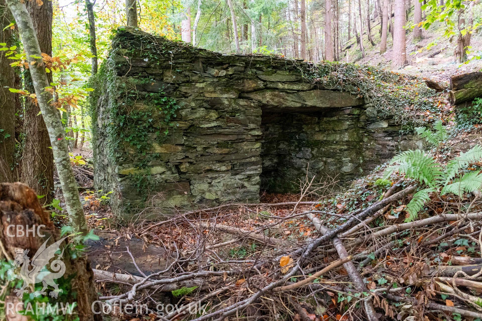 Lime Kiln, Abergwynant Woods. East face from the southeast.