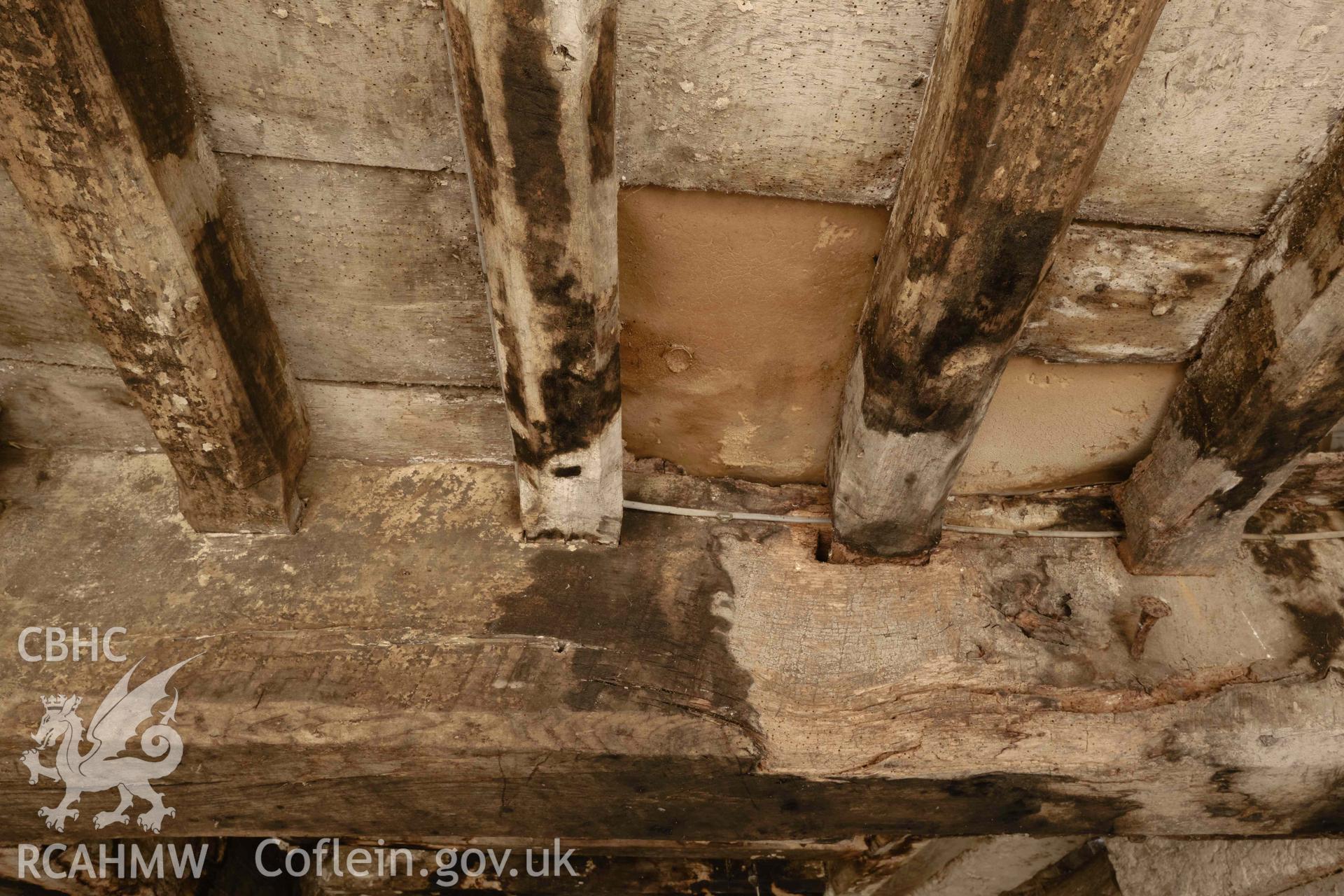 chamfered joists in unit 3, looking N