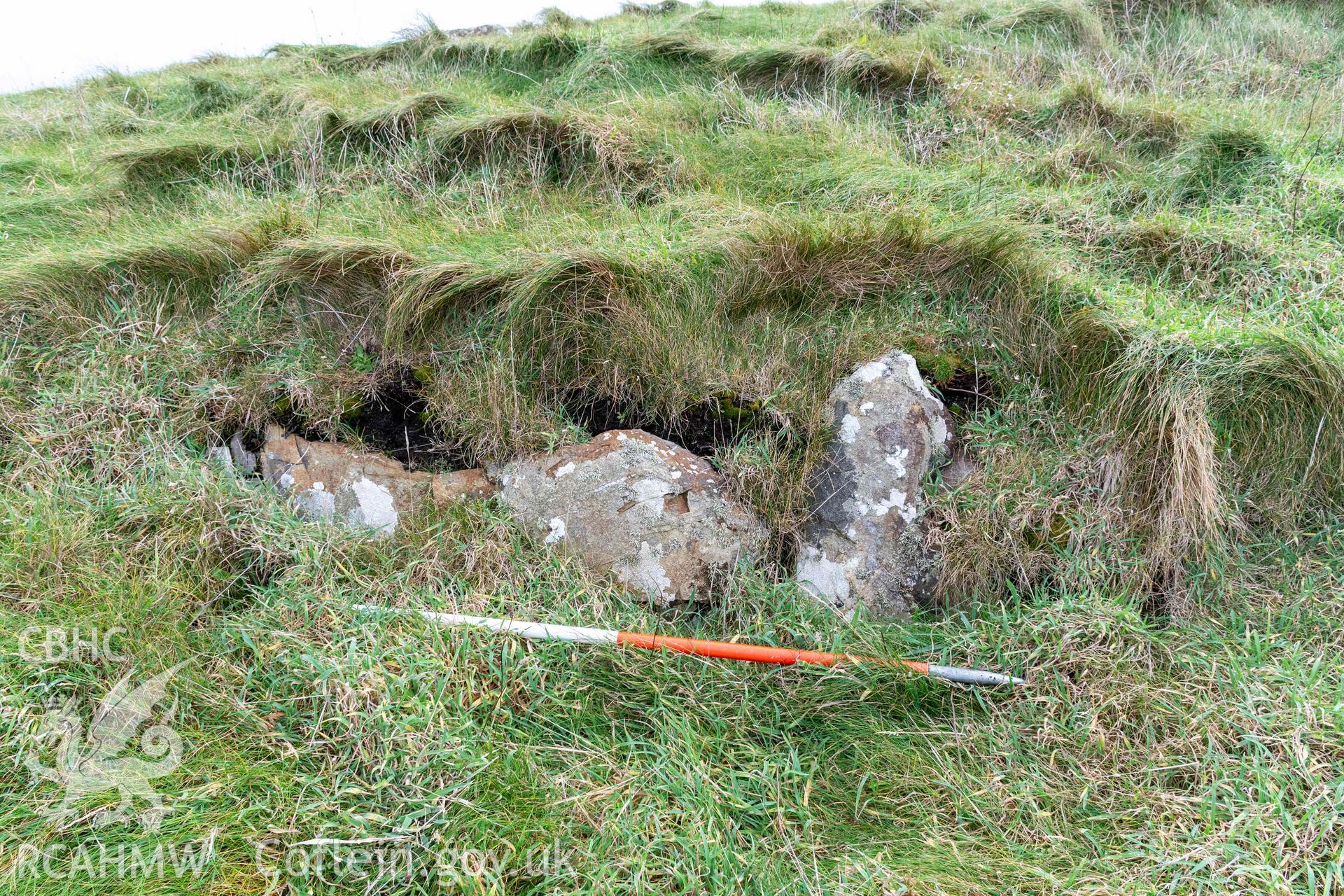 Trwyn Castell coastal promontory fort. Length of possible walling on the north side of the fort interior (with scale).