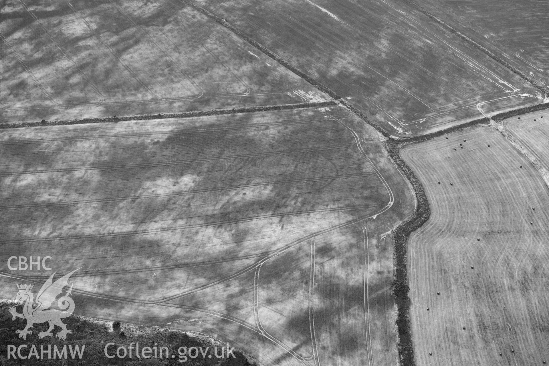 RCAHMW black and white oblique aerial photograph of Pant y rhedyn enclosure, Mathry taken on 11 July 2018 by Toby Driver