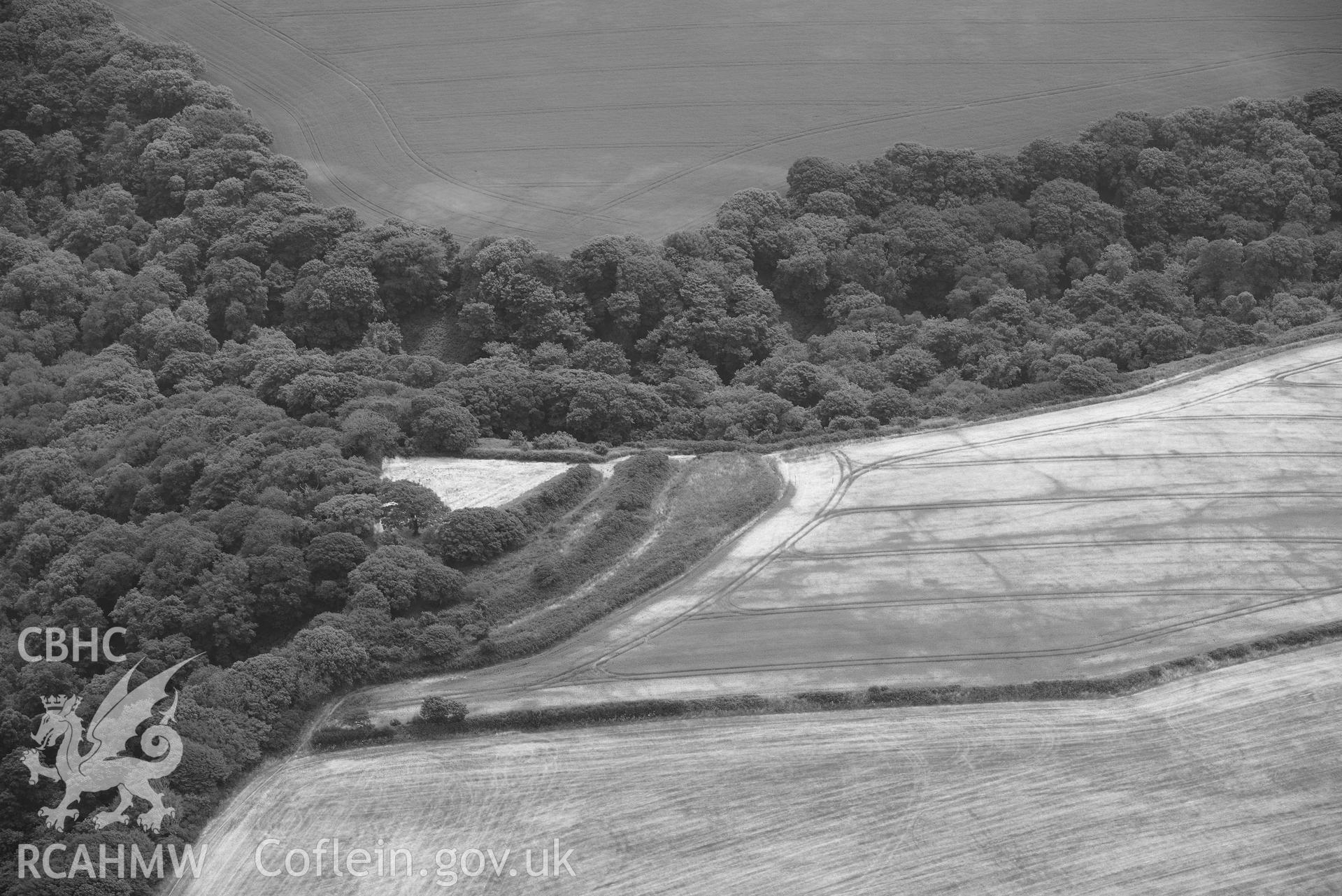 RCAHMW black and white oblique aerial photograph of Brawdy promontory fort, with crop marks taken on 11 July 2018 by Toby Driver