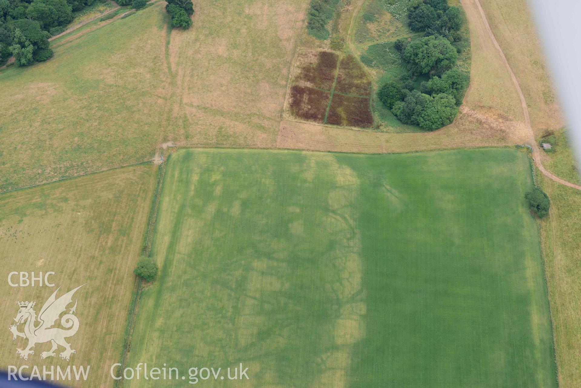 RCAHMW colour oblique aerial photograph of Slebech Park cropmark enclosure taken on 11 July 2018 by Toby Driver