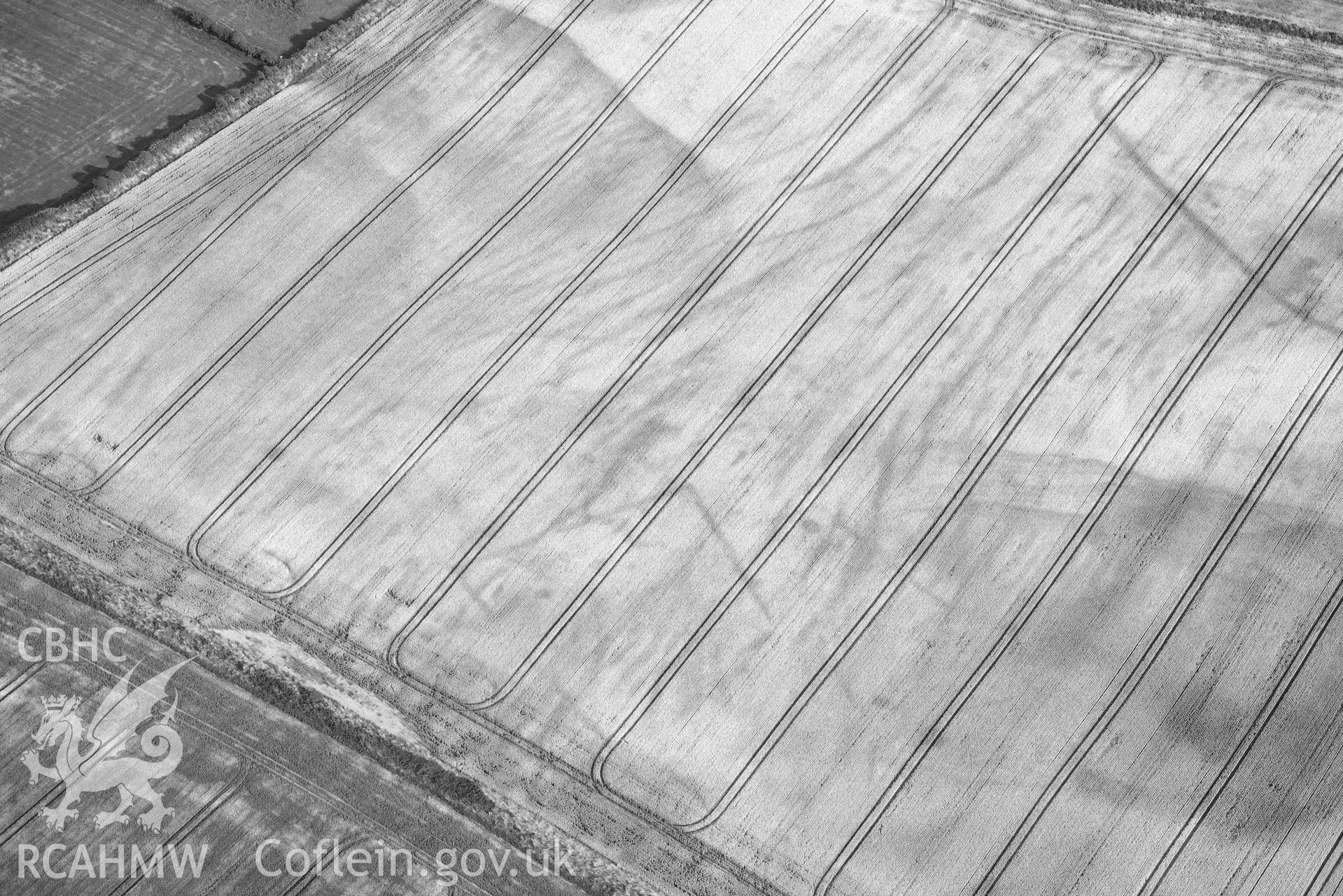 RCAHMW colour oblique aerial photograph of Paviland Manor, cropmark complex; polygonal enclosure taken on 17 July 2018 by Toby Driver (NGR: SS449863)