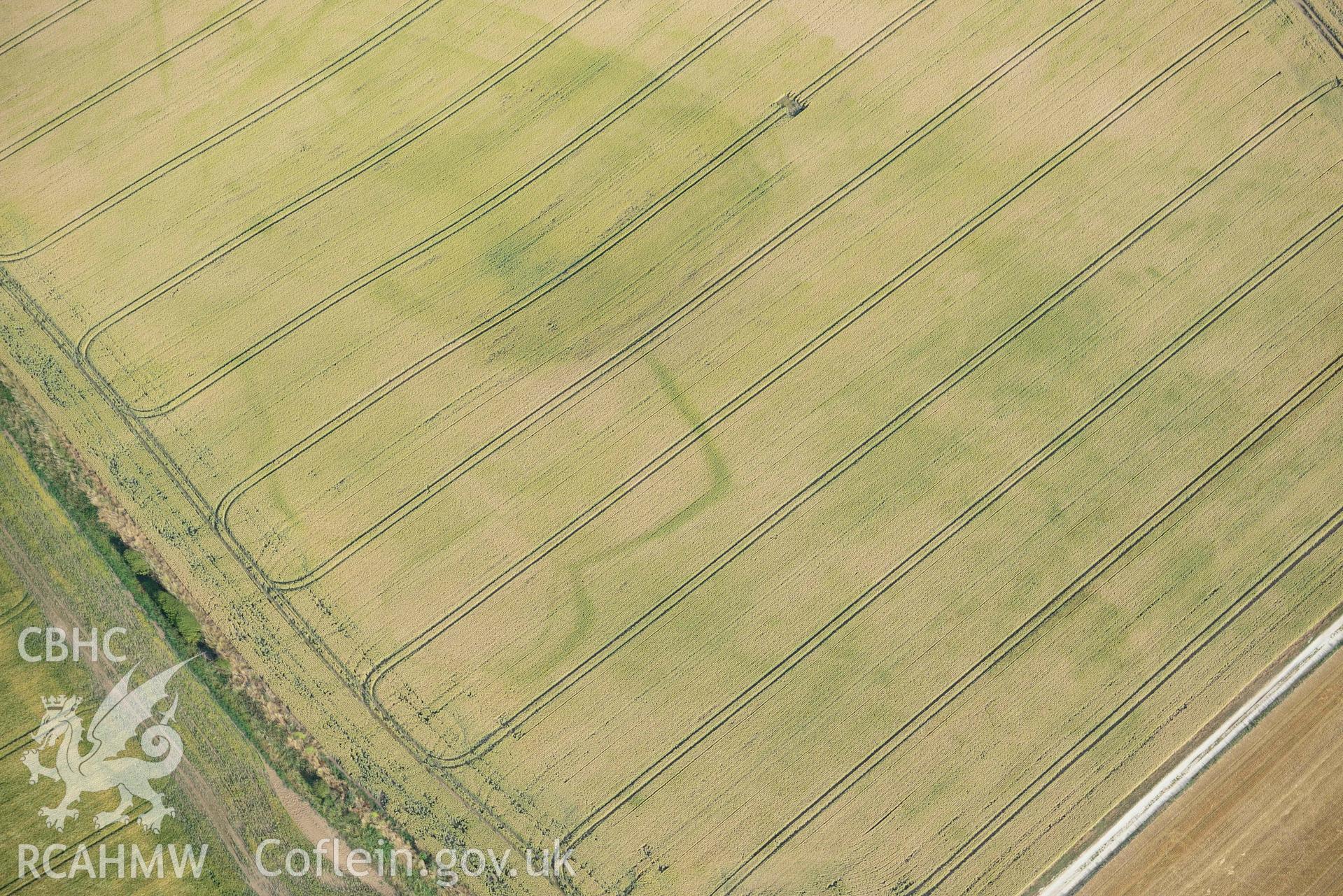 RCAHMW black and white oblique aerial photograph of Paviland Manor, cropmark complex; NW polygonal enclosure taken on 17 July 2018 by Toby Driver (NGR: SS448863)