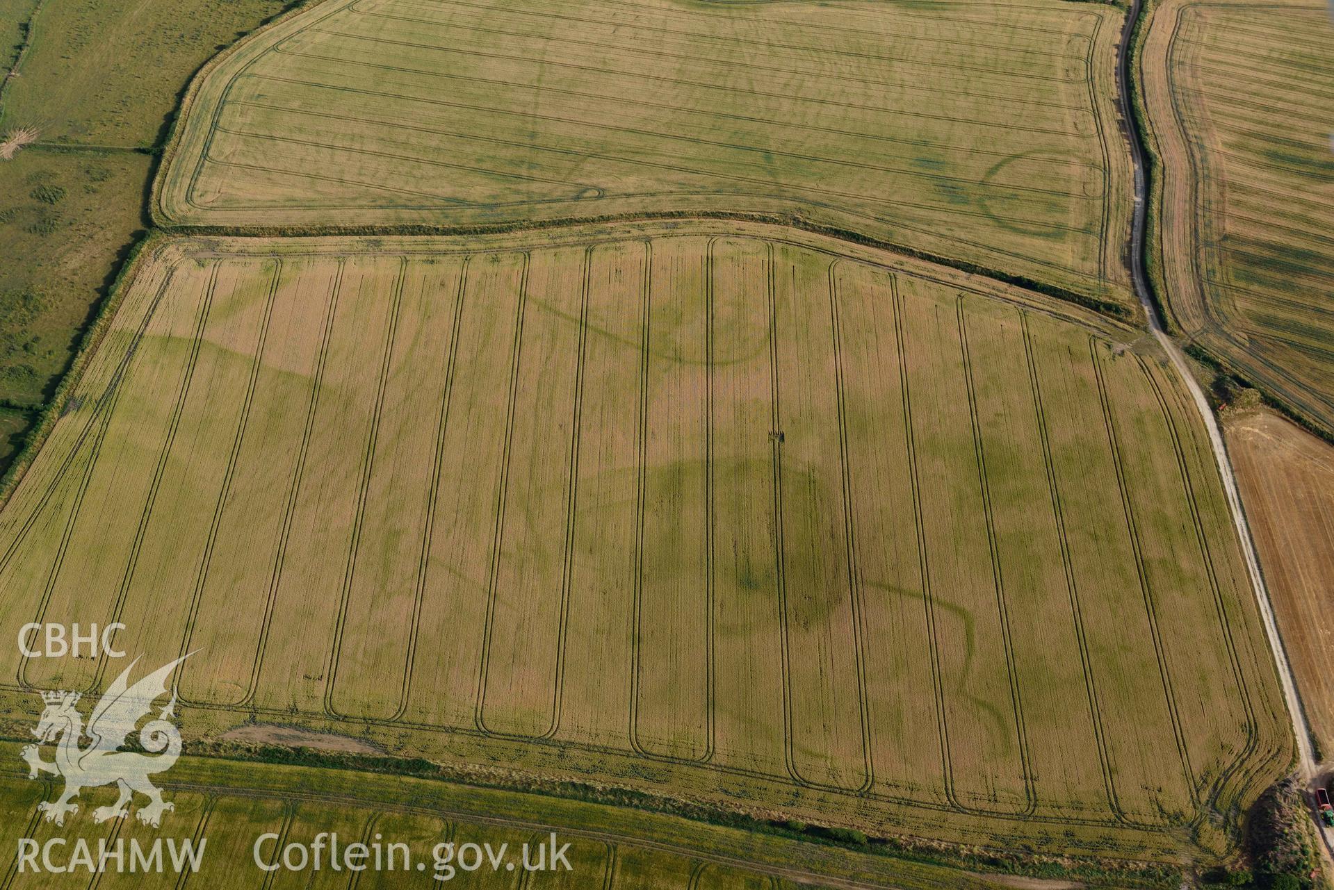 RCAHMW colour oblique aerial photograph of Paviland Manor, cropmark complex; view from N taken on 17 July 2018 by Toby Driver (NGR: SS448863)