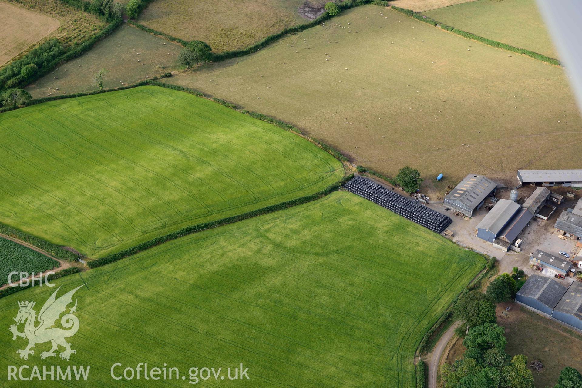 RCAHMW colour oblique aerial photograph of Parc Willis, cropmark of defended enclosure taken on 17 July 2018 by Toby Driver (NGR: SN470037)