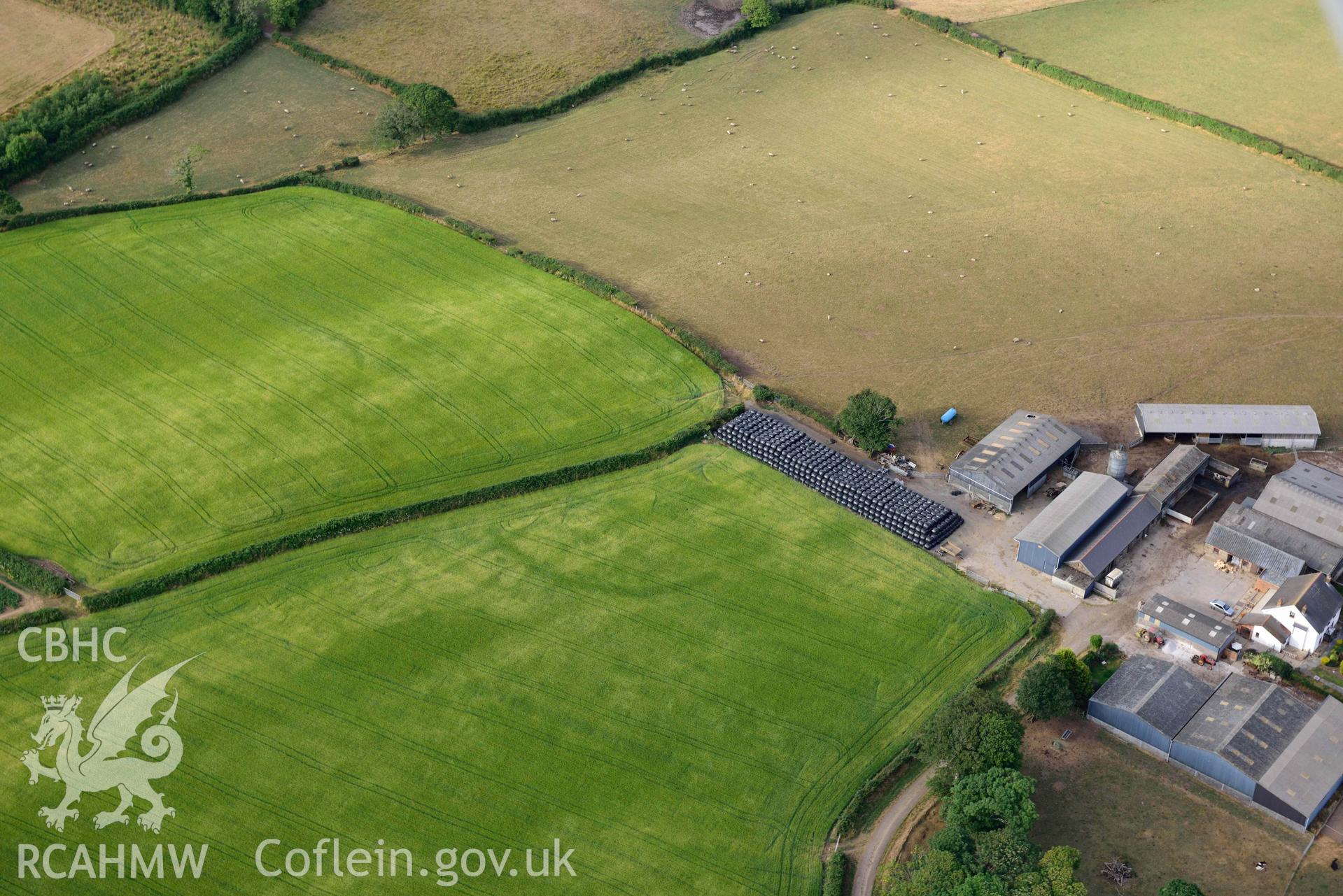 RCAHMW colour oblique aerial photograph of Parc Willis, cropmark of defended enclosure taken on 17 July 2018 by Toby Driver (NGR: SN470037)