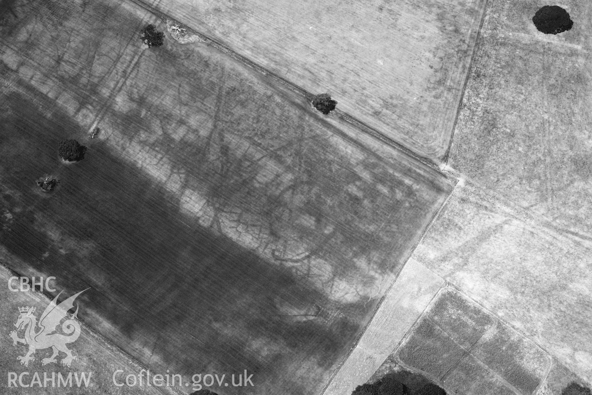 RCAHMW oblique aerial photograph of Slebech park cropmark taken on 9 July 2018 by Toby Driver