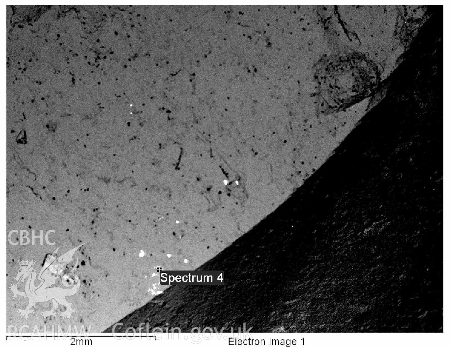 Scanning Electron Microscopy image 4 of the deposit on the 2003 flint microdenticulate (NPRN 424528). © Crown: CHERISH PROJECT. Produced with EU funds through the Ireland Wales Co-operation Programme 2014-2020. All material made freely available through the Open Government Licence.