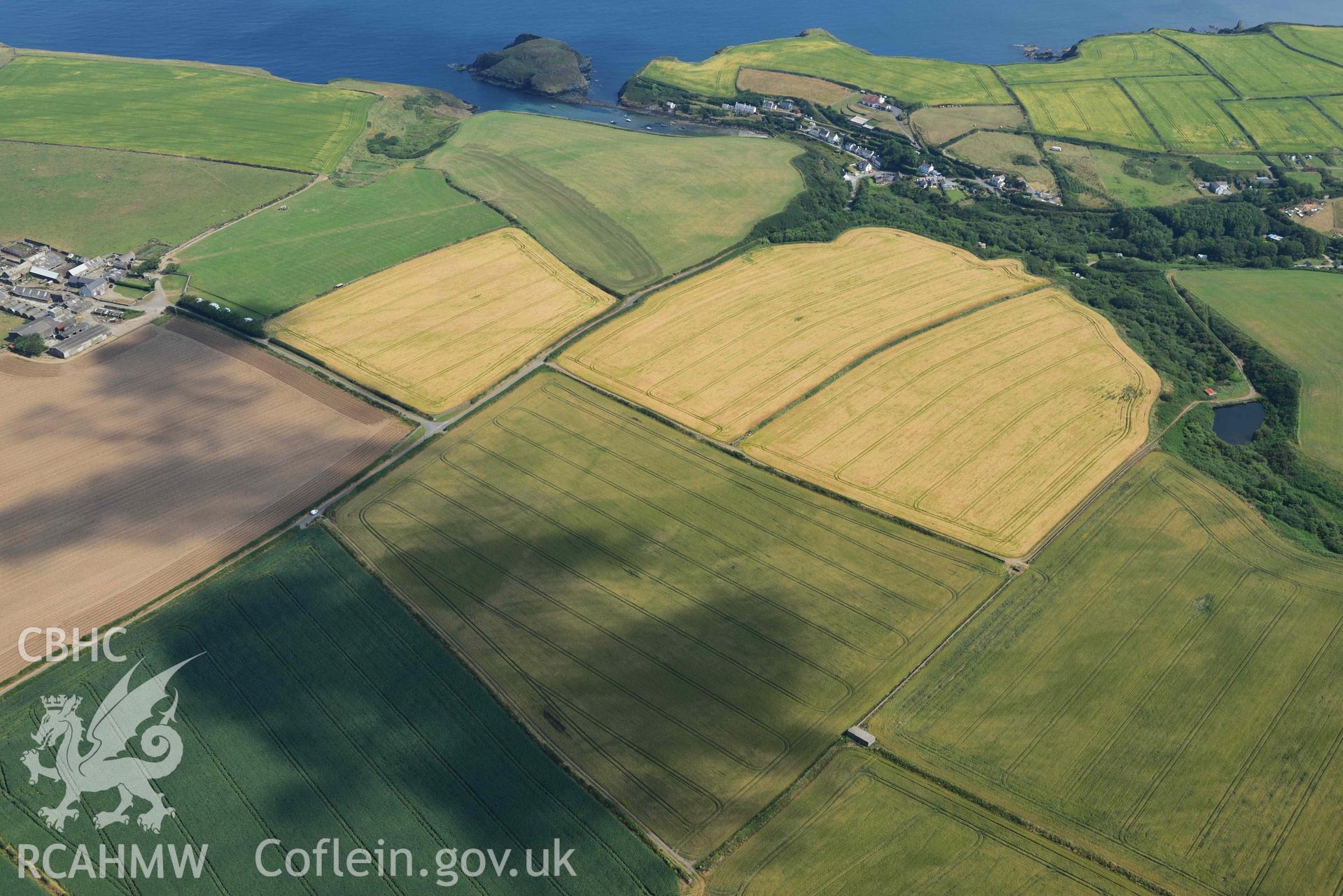 Cropmarks showing Longhouse circular enclosure. © Crown: CHERISH PROJECT 2017. Produced with EU funds through the Ireland Wales Co-operation Programme 2014-2023.