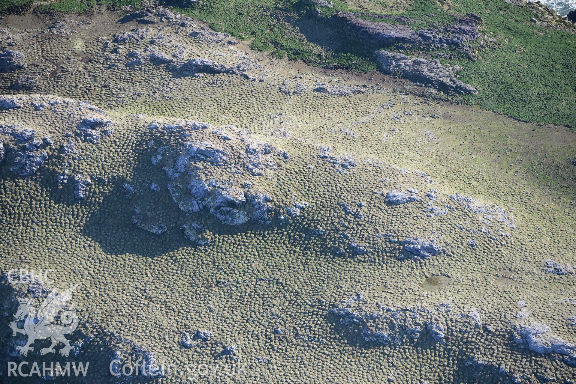 Aerial photo of  Grassholm Island.  Aerial reconnaissance survey for the CHERISH Project. Crown Copyright: CHERISH PROJECT 2018. Produced with EU funds through the Ireland Wales Co-operation Programme 2014-2020. All material made freely available through the Open Government Licence.