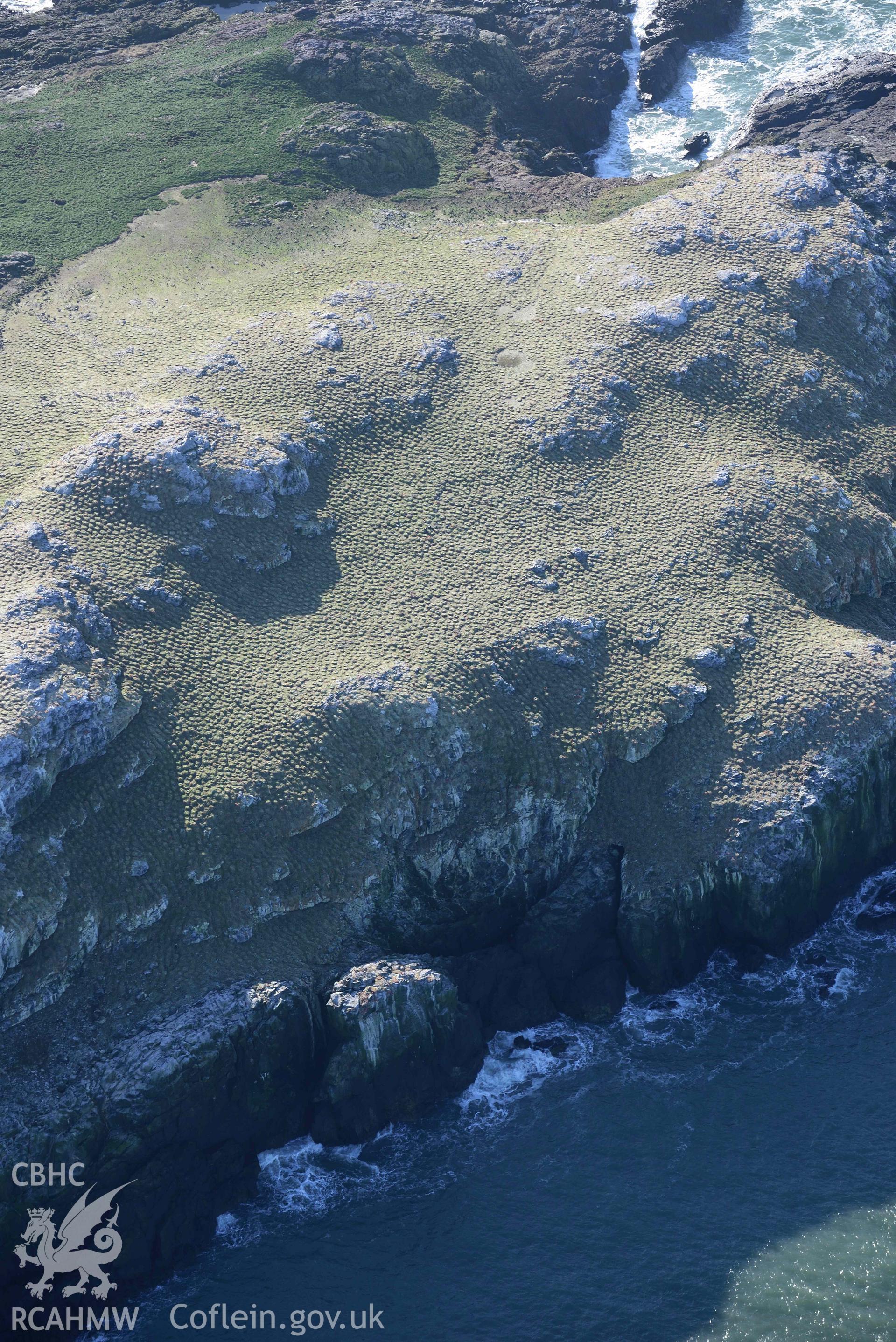Aerial photo of  Grassholm Island.  Aerial reconnaissance survey for the CHERISH Project. Crown Copyright: CHERISH PROJECT 2018. Produced with EU funds through the Ireland Wales Co-operation Programme 2014-2020. All material made freely available through the Open Government Licence.