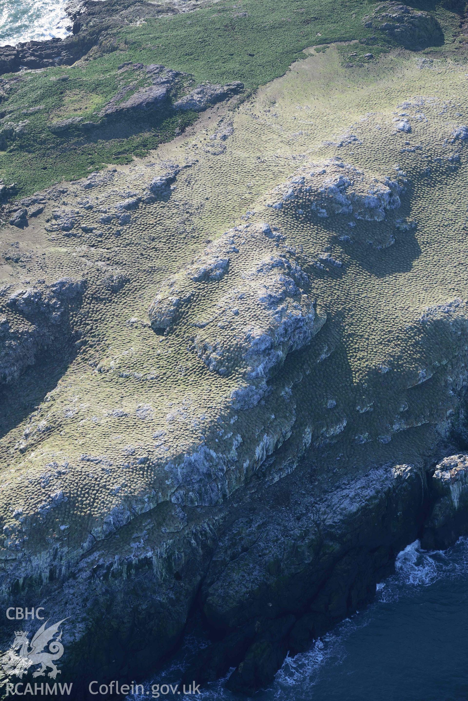 Aerial photo of  Grassholm Island.  Aerial reconnaissance survey for the CHERISH Project. Crown Copyright: CHERISH PROJECT 2018. Produced with EU funds through the Ireland Wales Co-operation Programme 2014-2020. All material made freely available through the Open Government Licence.