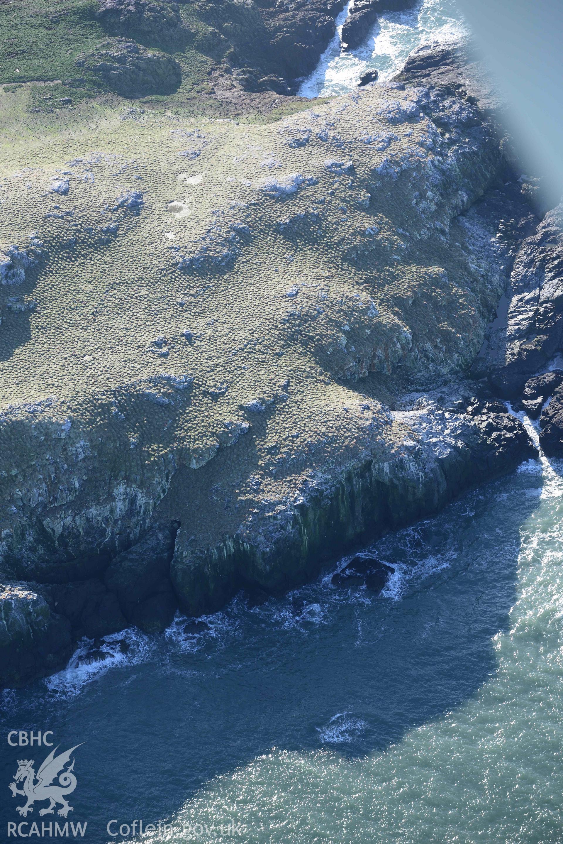 Aerial photo of  Grassholm Island.  Aerial reconnaissance survey for the CHERISH Project. Crown Copyright: CHERISH PROJECT 2018. Produced with EU funds through the Ireland Wales Co-operation Programme 2014-2020. All material made freely available through the Open Government Licence.